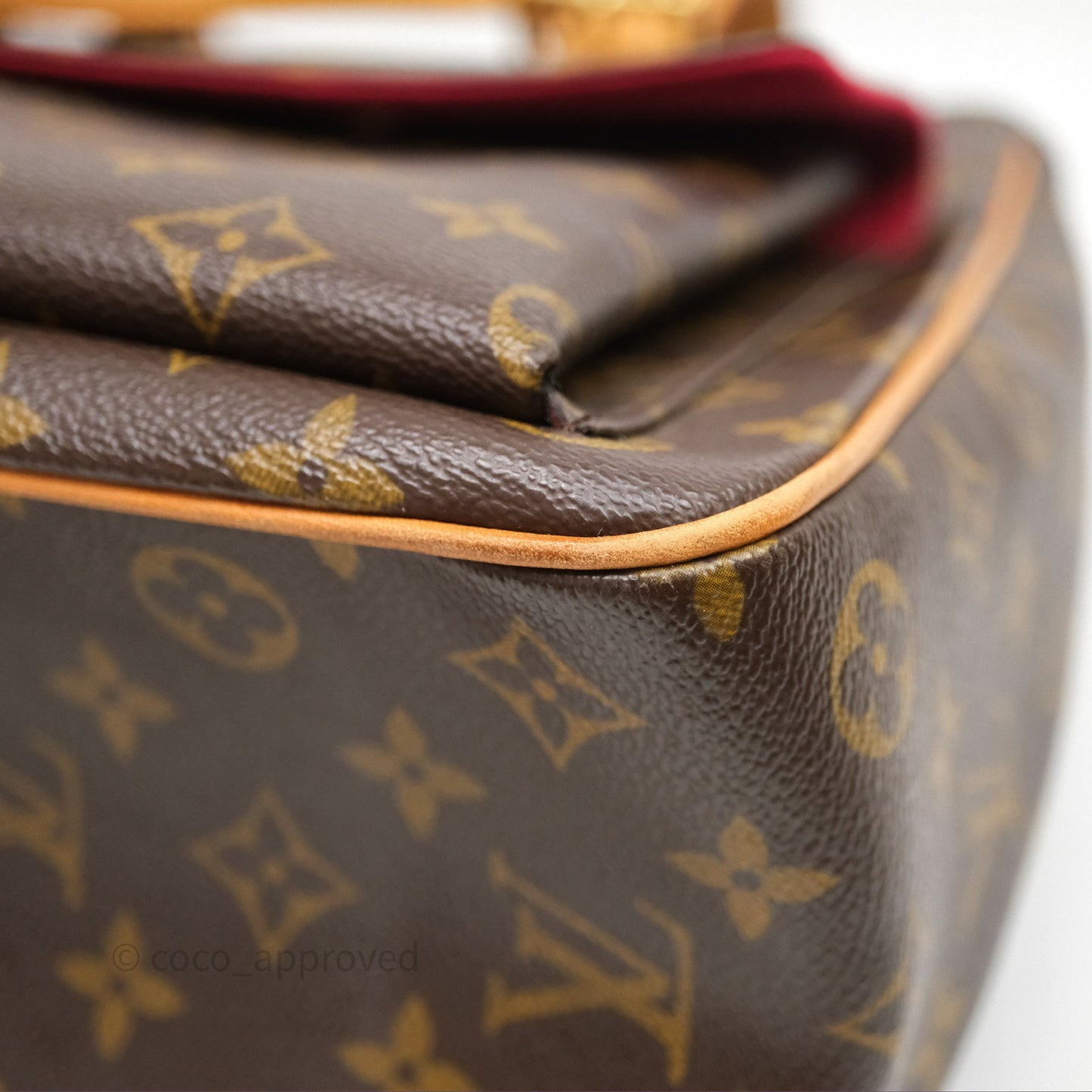 Louis Vuitton Multipli-Cite Tote Monogram Canvas