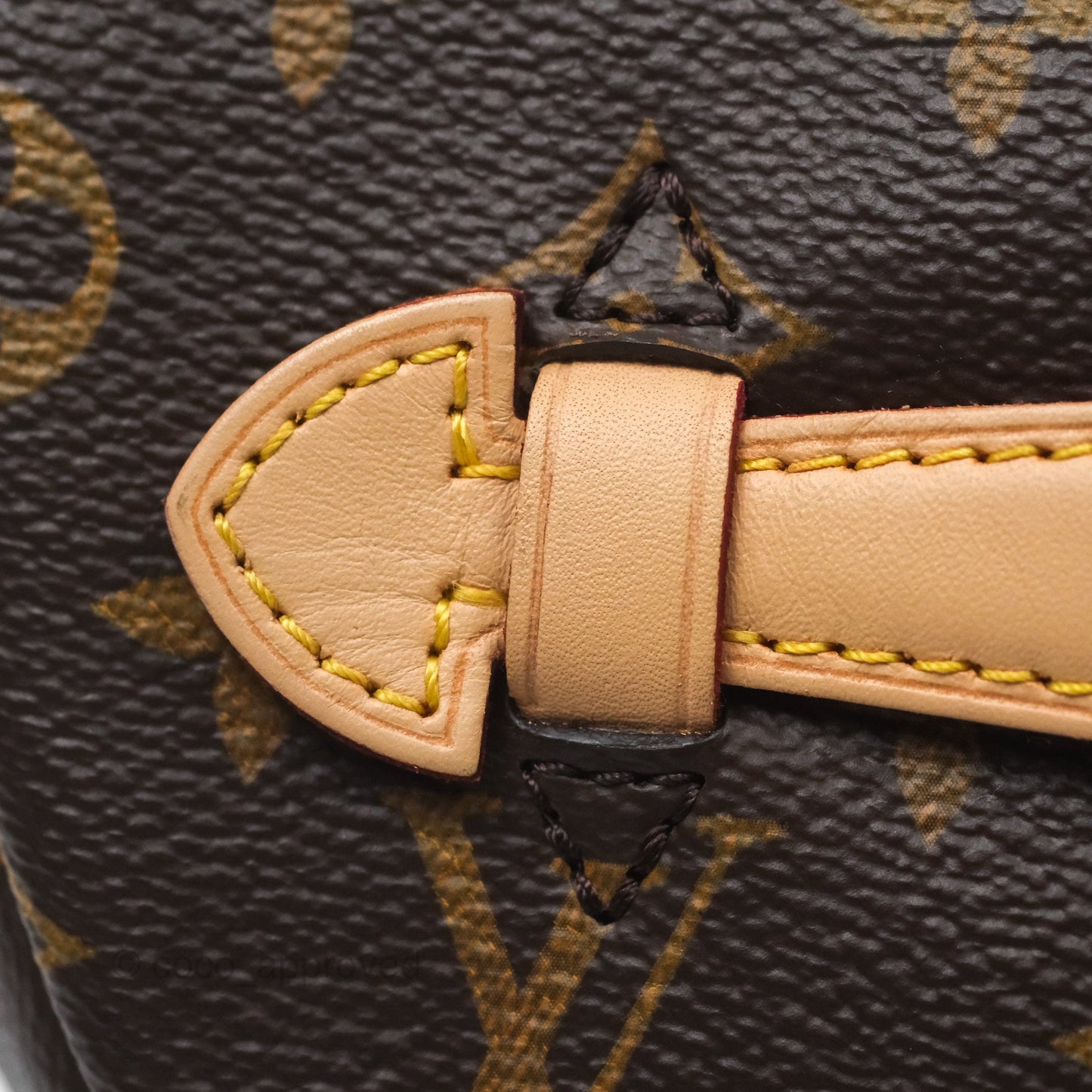 Louis Vuitton Bum Bag Monogram Canvas