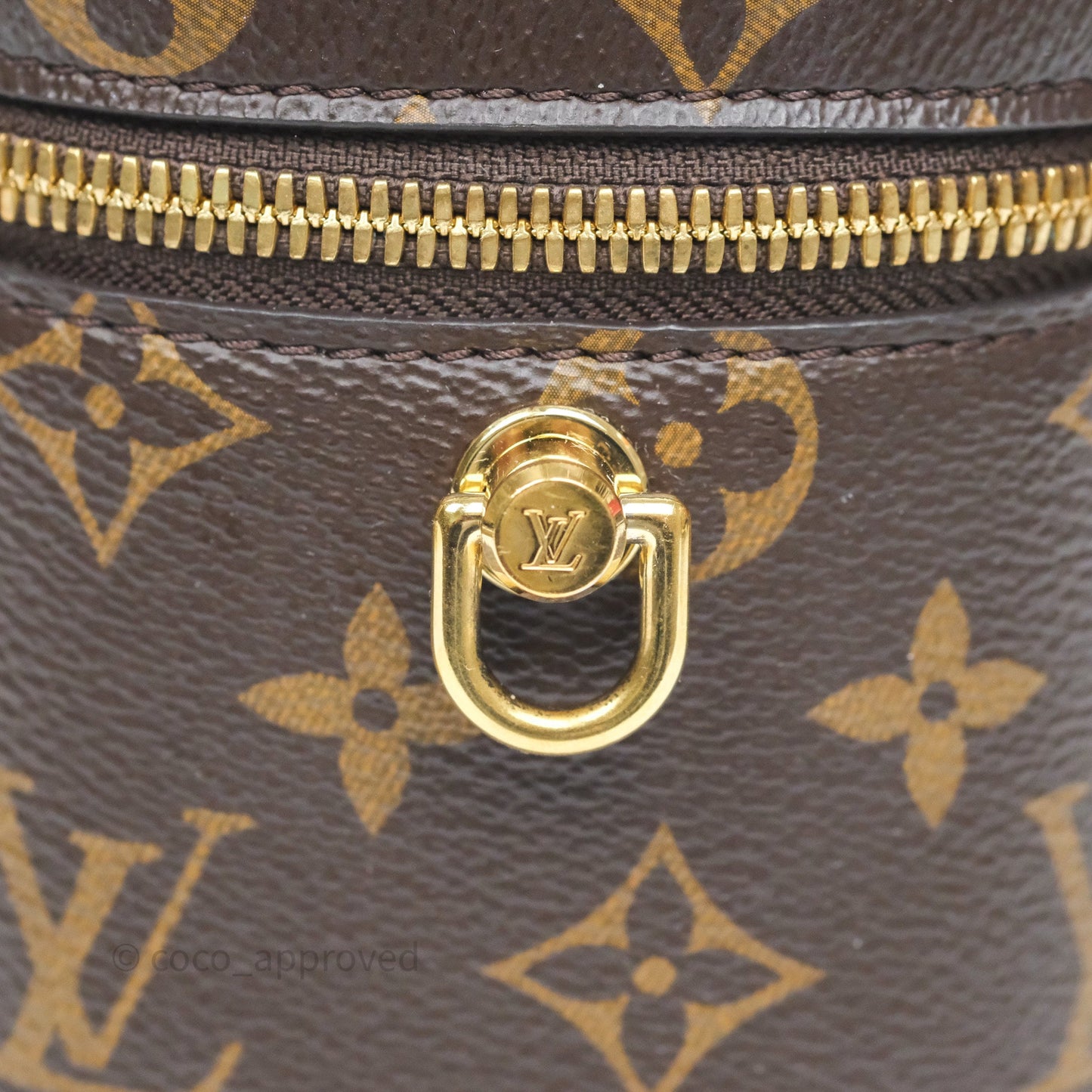 Louis Vuitton Reverse Monogram Vanity PM