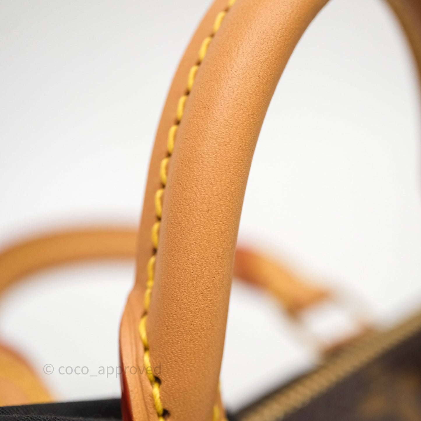 Louis Vuitton Nano Speedy Monogram