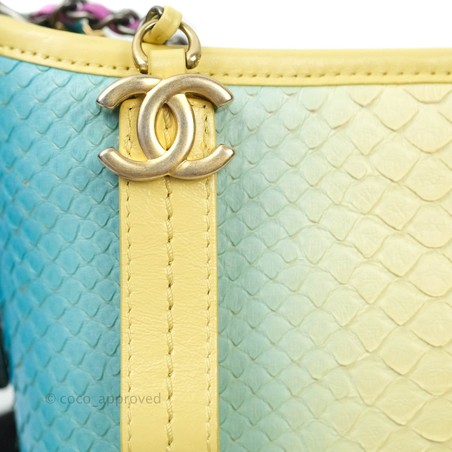 Chanel Small Gabrielle Hobo Yellow Python Mixed Hardware