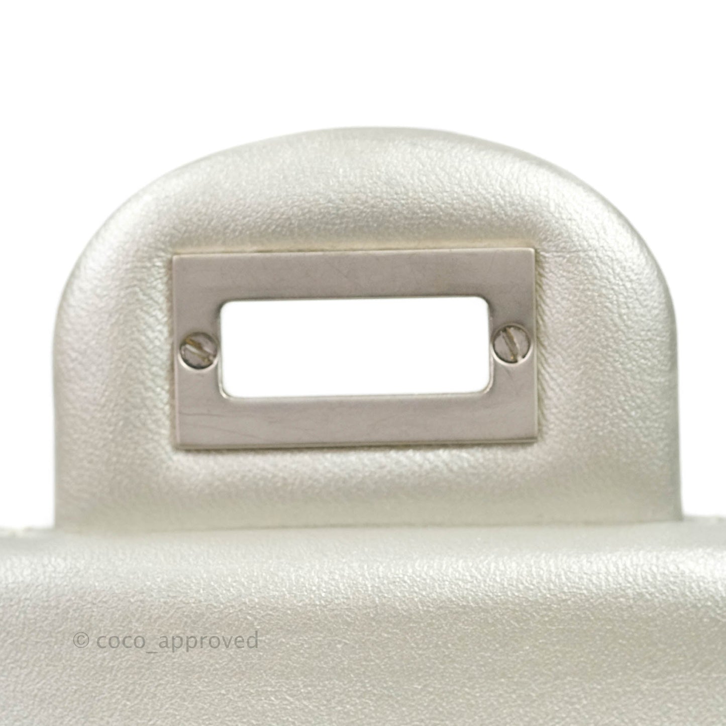 Chanel Reissue Quilted Aged Calfskin Metallic Silver Matte Silver Hardware 225