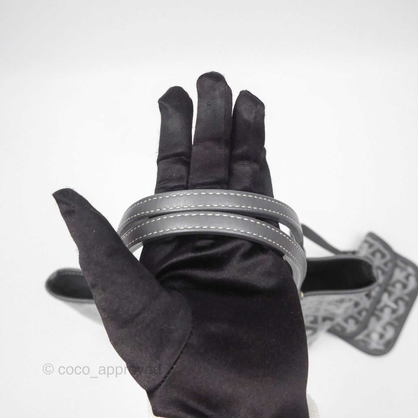 Goyard Anjou Mini Bag Goyardine Canvas Grey