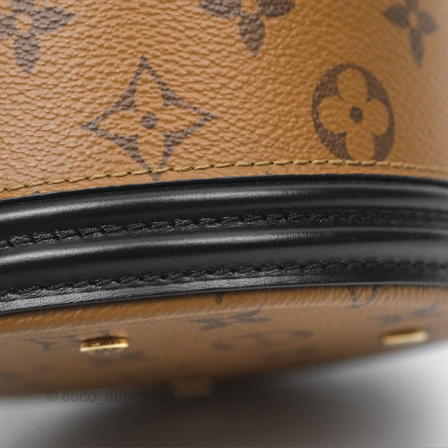 Louis Vuitton Monogram Canvas Reverse Cannes Bag