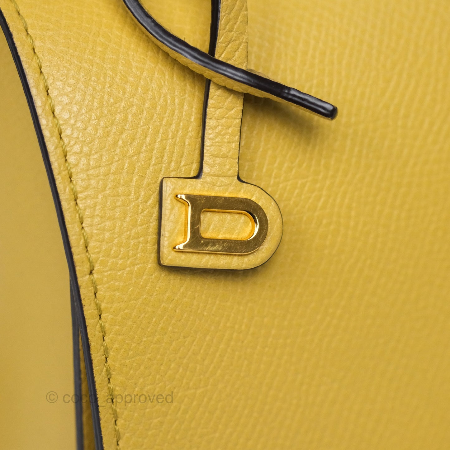 Delvaux Lingot Bag Pollen Alpina Calfskin