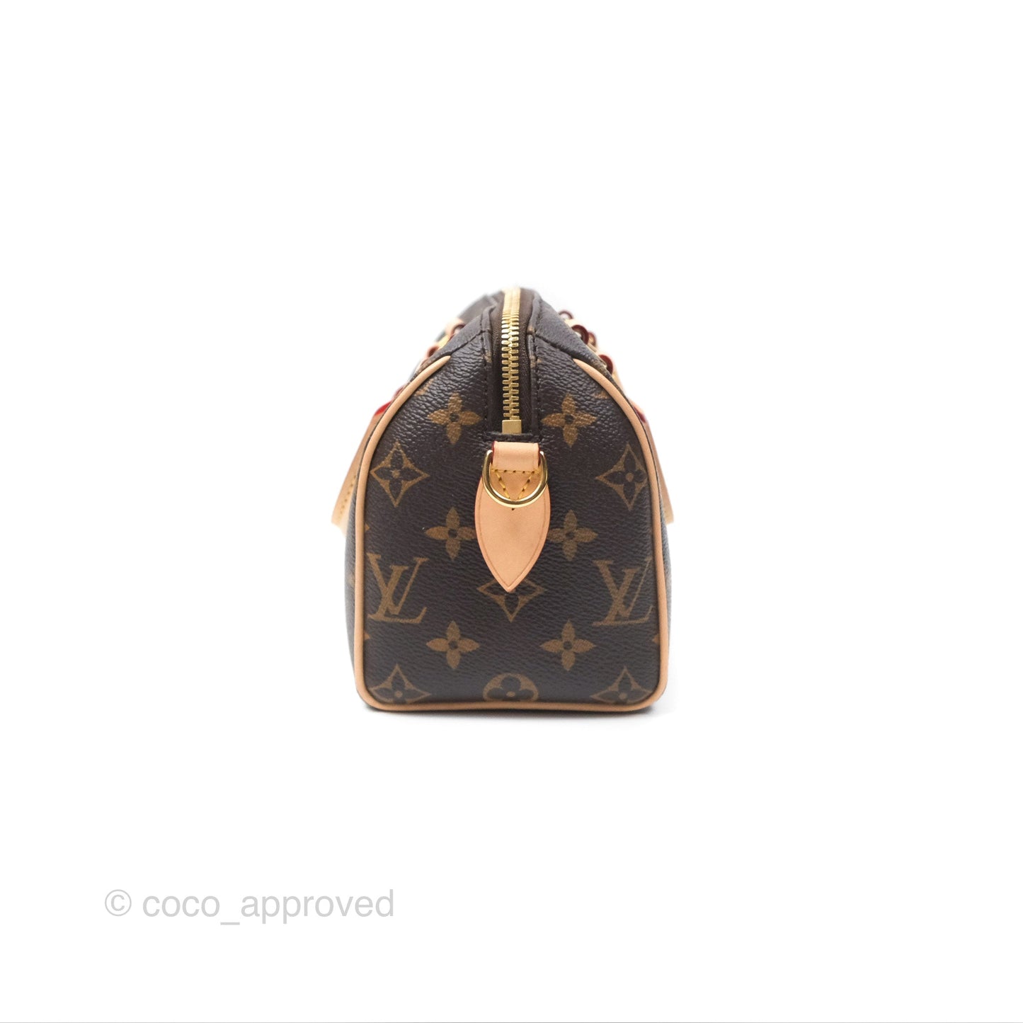 Louis Vuitton Speedy Bandoulière 20 Monogram