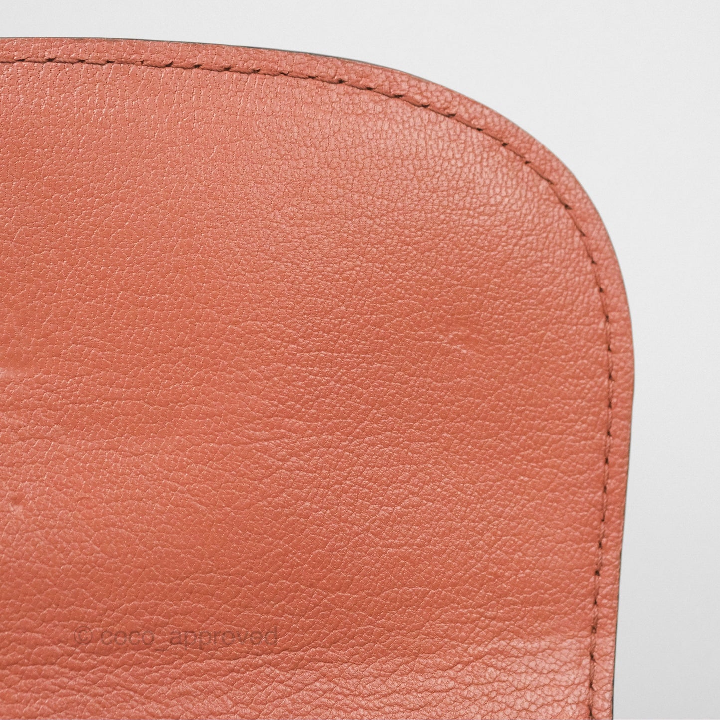 Louis Vuitton Vivienne Bag Brick Red Black