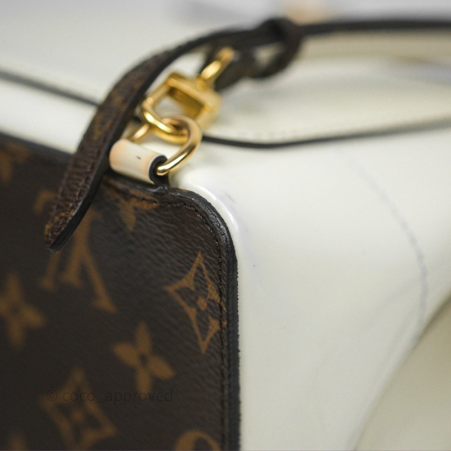 Louis Vuitton Hot Springs Backpack Monogram Patent Snow