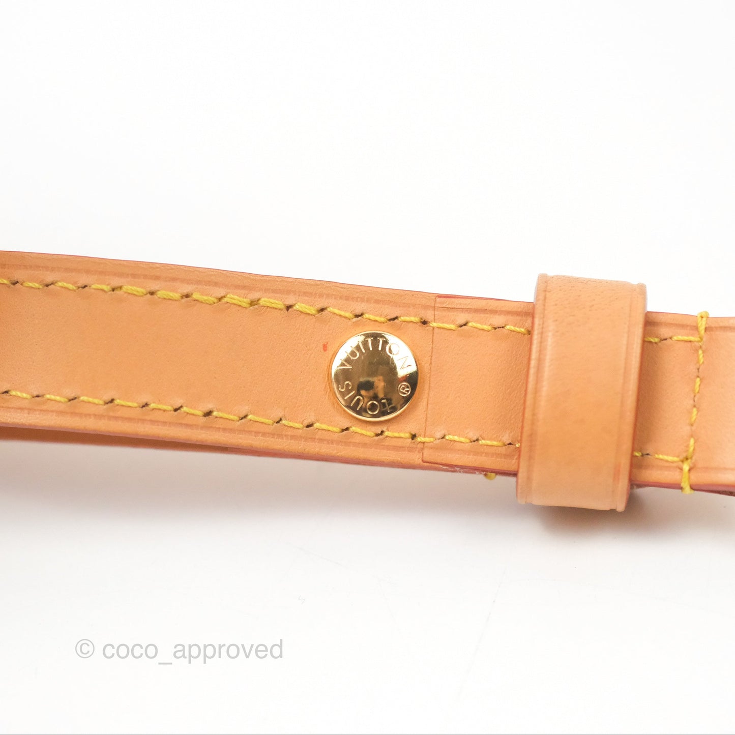 Louis Vuitton Loop Monogram Canvas