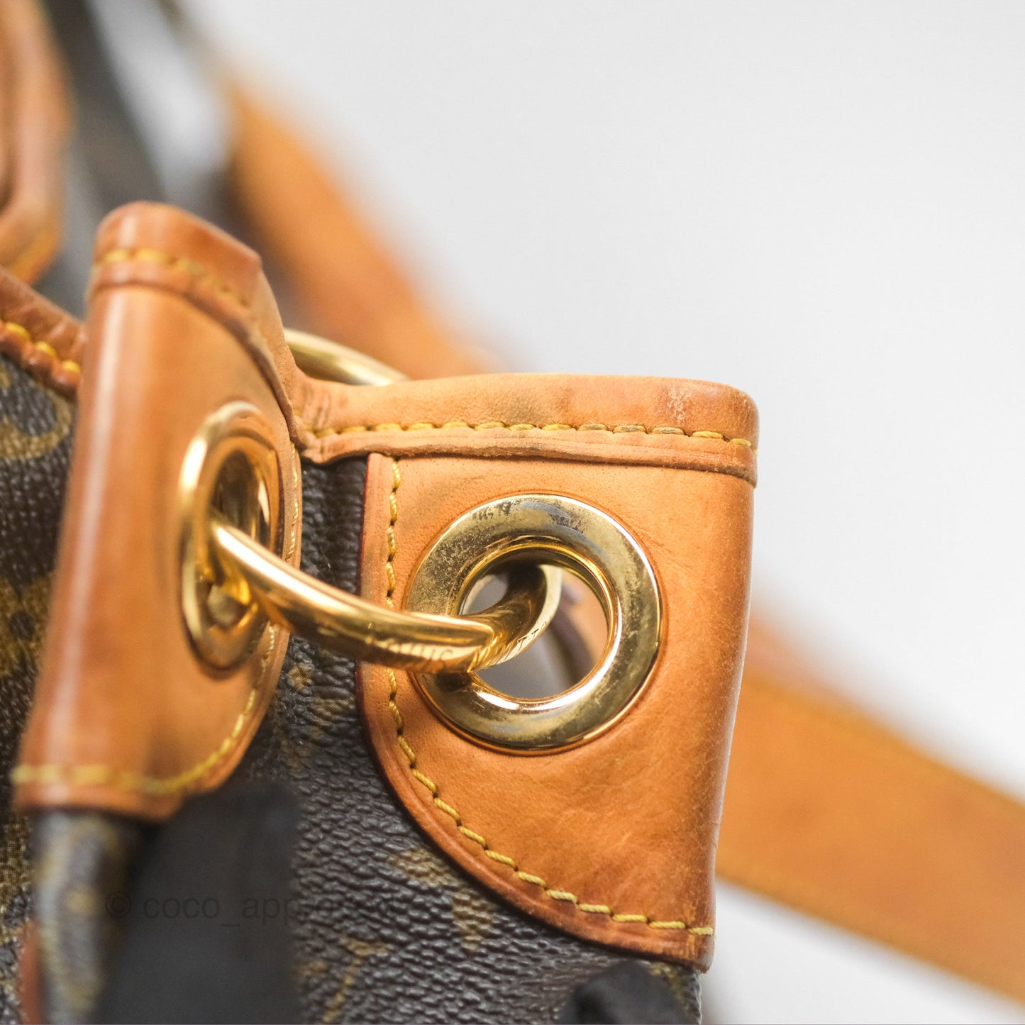 Louis Vuitton Vintage Galilea Shoulder Bag PM