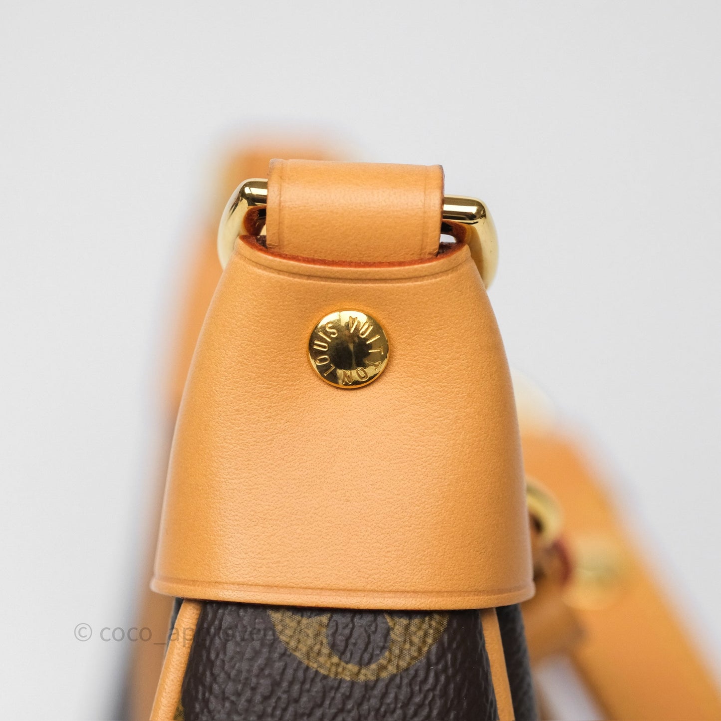 Louis Vuitton Loop Monogram Canvas