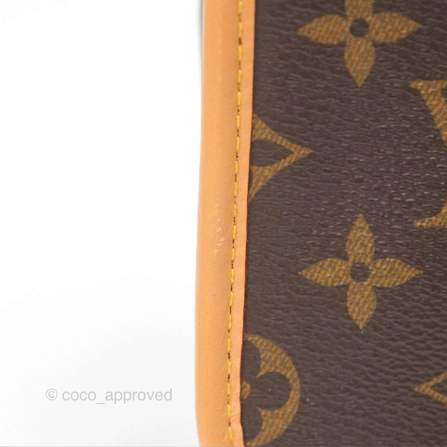 Louis Vuitton Diane Bag Monogram Canvas with Jacquard Strap