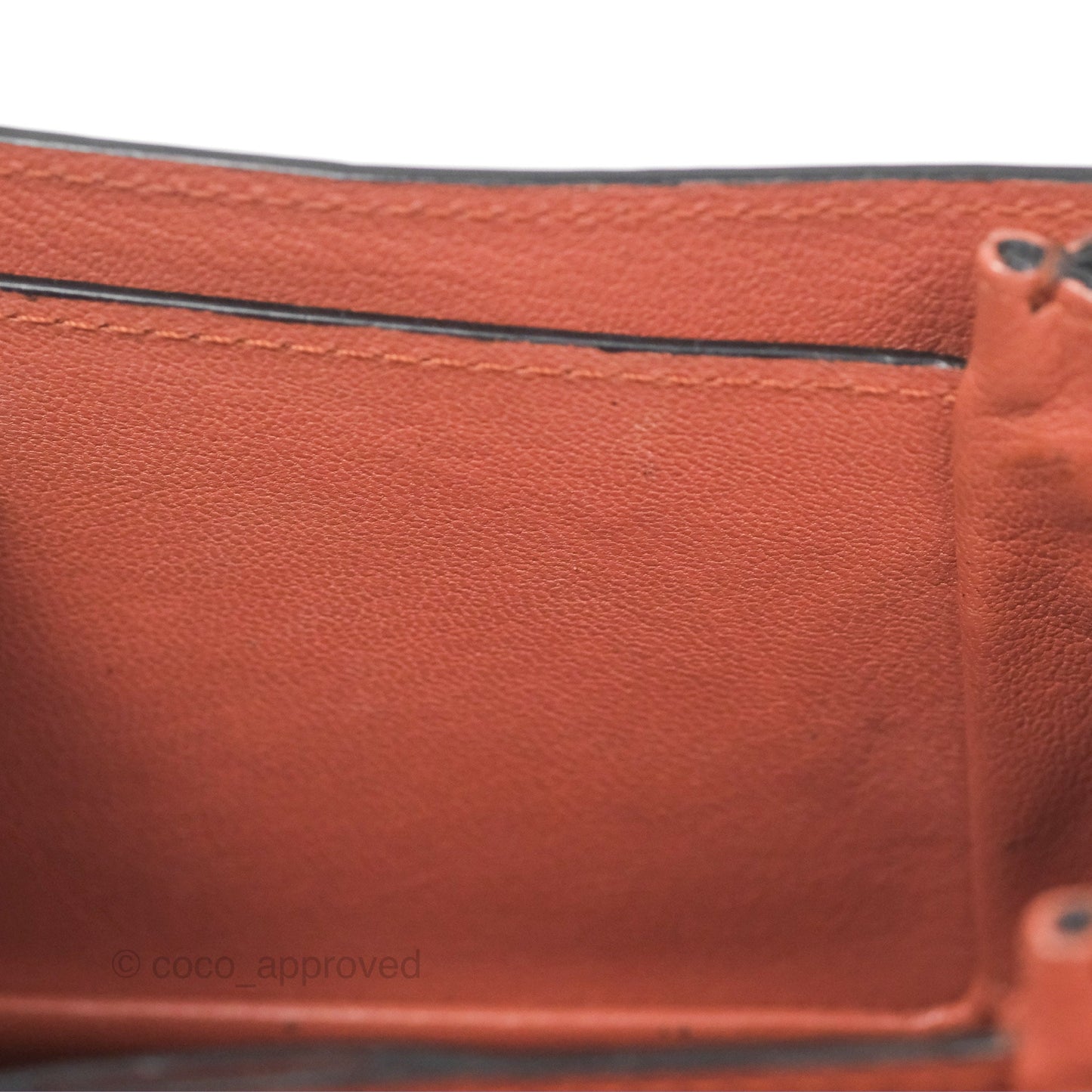 Louis Vuitton Vivienne Bag Brick Red Black