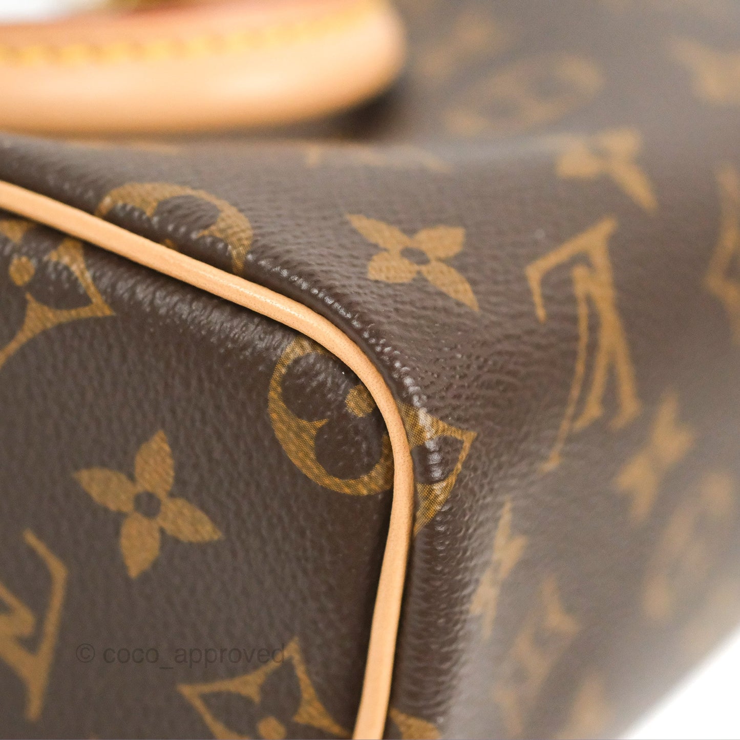 Louis Vuitton Nano Speedy Monogram