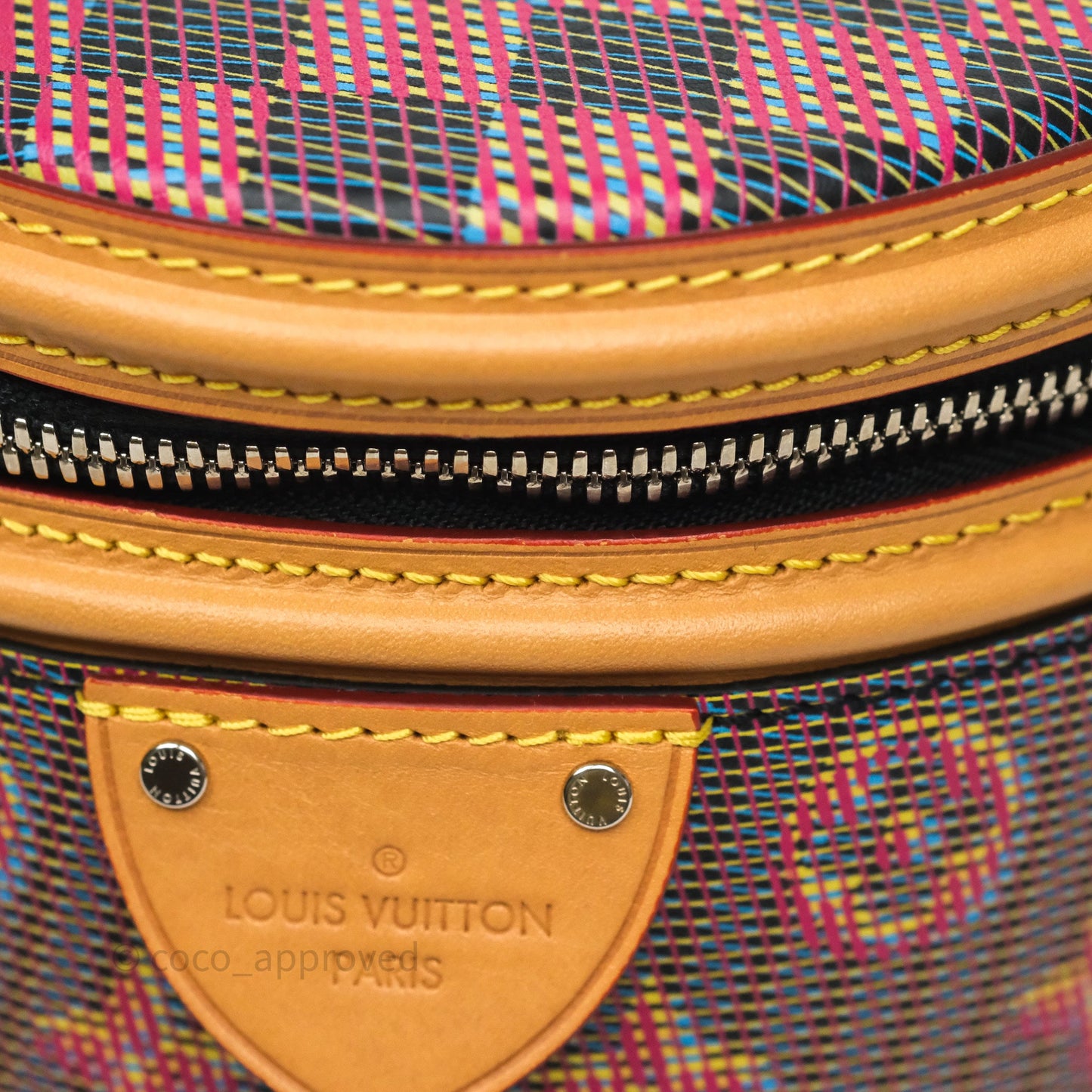 Louis Vuitton Cannes LV Pop Monogram