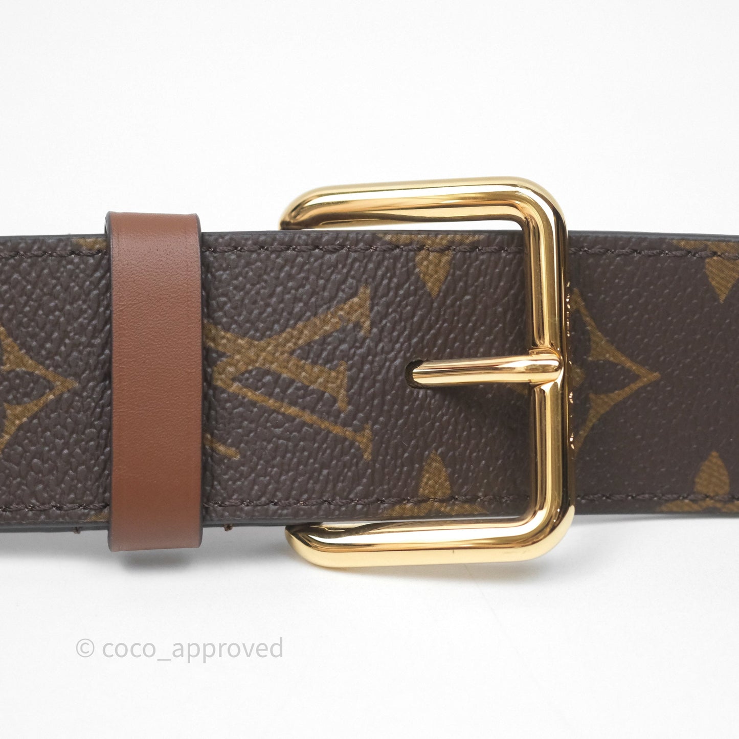 Louis Vuitton Papillon Trunk Monogram Coated Canvas
