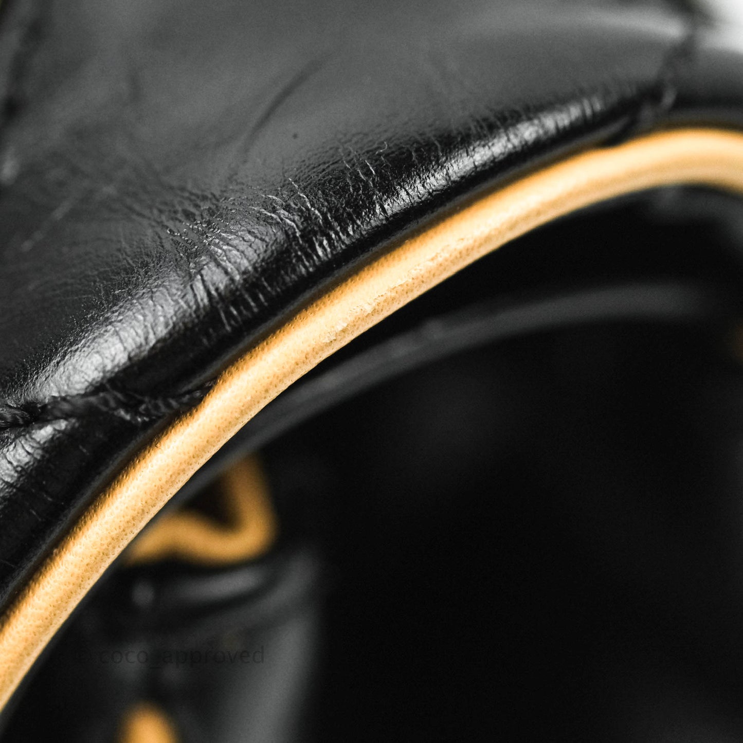Chanel Reissue Quilted Aged Calfskin Beige & Black Ruthenium Hardware 226