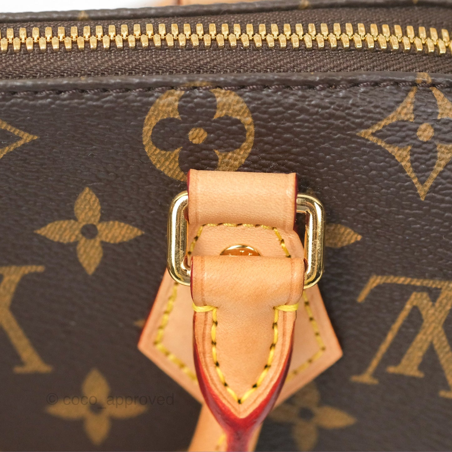 Louis Vuitton Speedy Bandoulière 20 Monogram