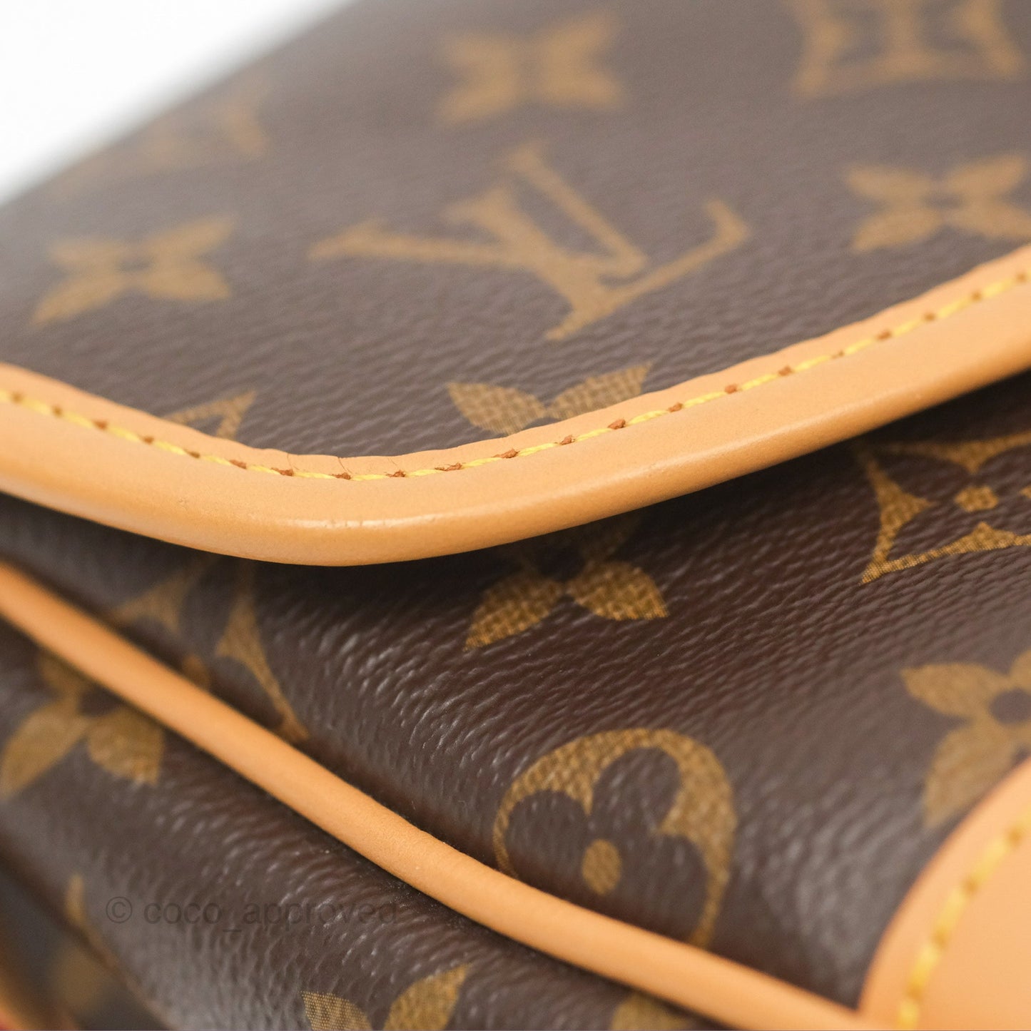 Louis Vuitton Diane Bag Monogram Canvas with Jacquard Strap