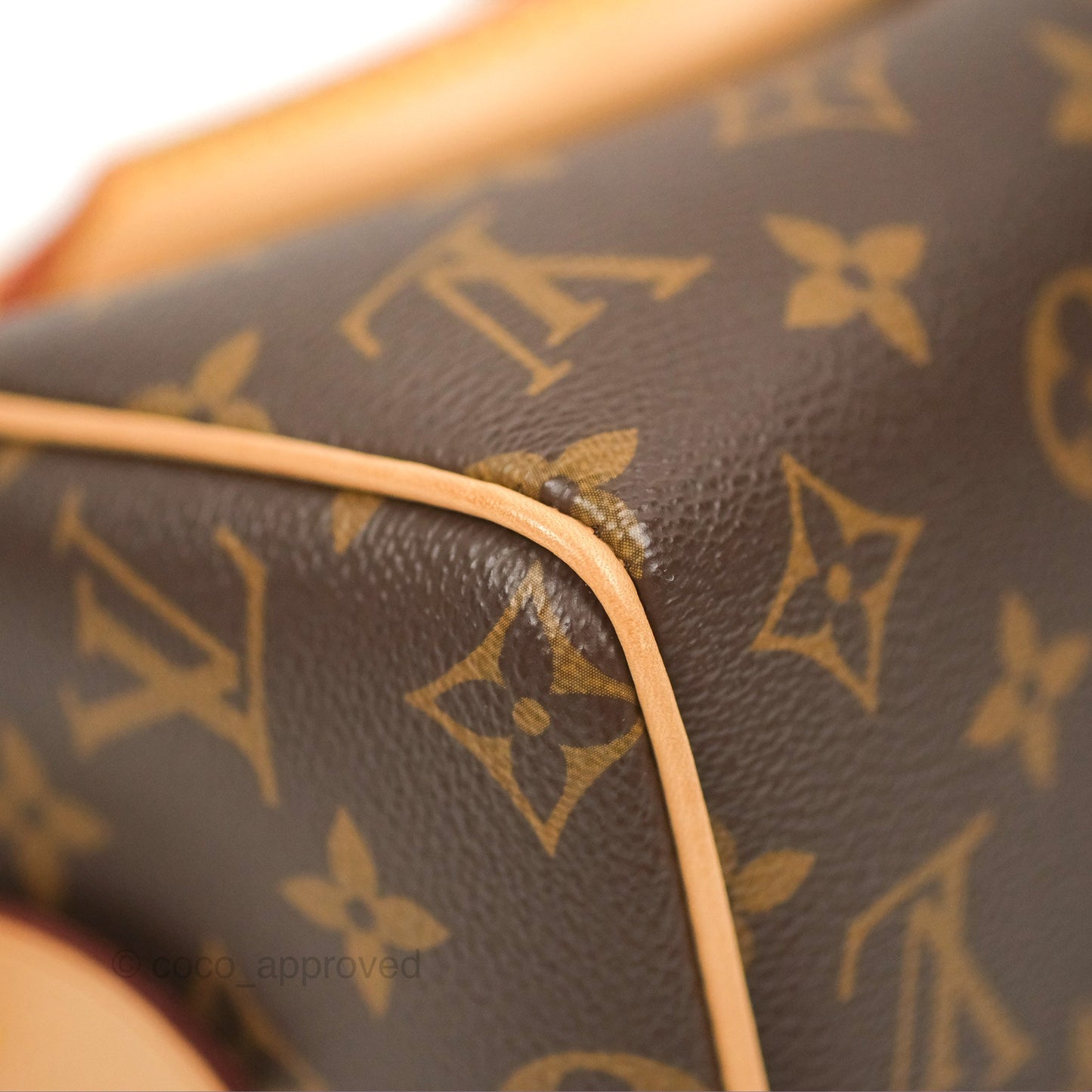 Louis Vuitton Speedy Bandoulière 20 Monogram