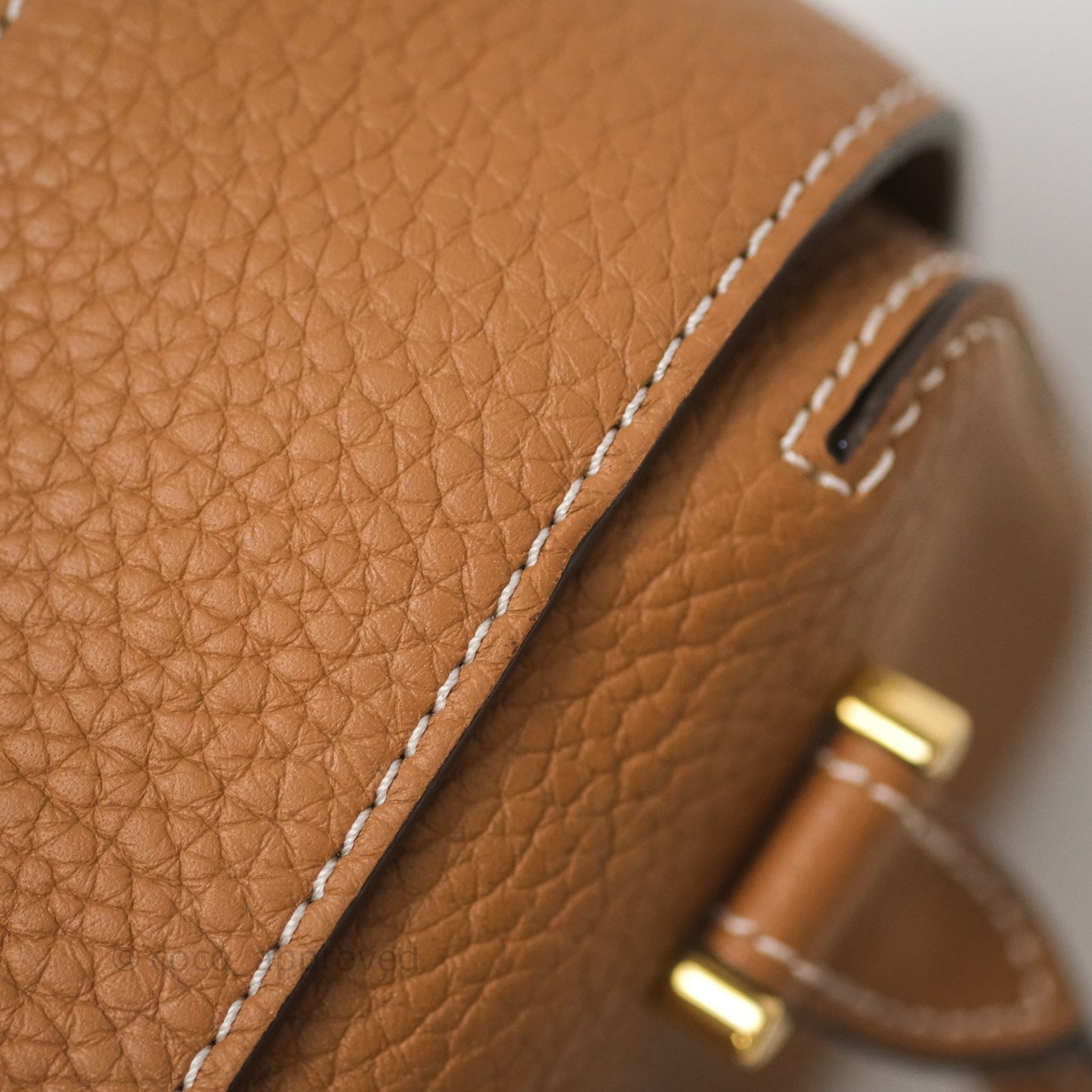 Delvaux Cool Box Nano Taurillon Soft Grained Calfskin Vegetal Ivory Gold Hardware