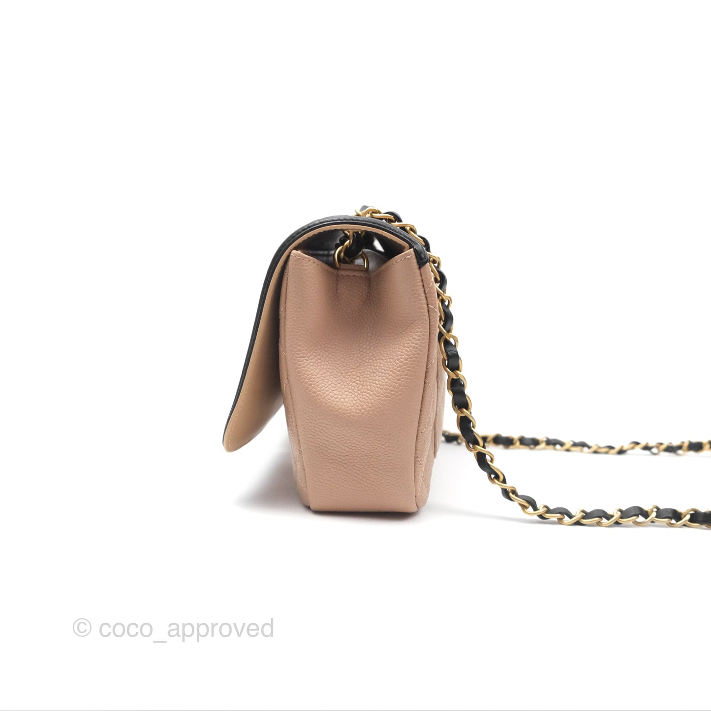 Chanel Quilted Medium CC Filigree Flap Beige Black Caviar