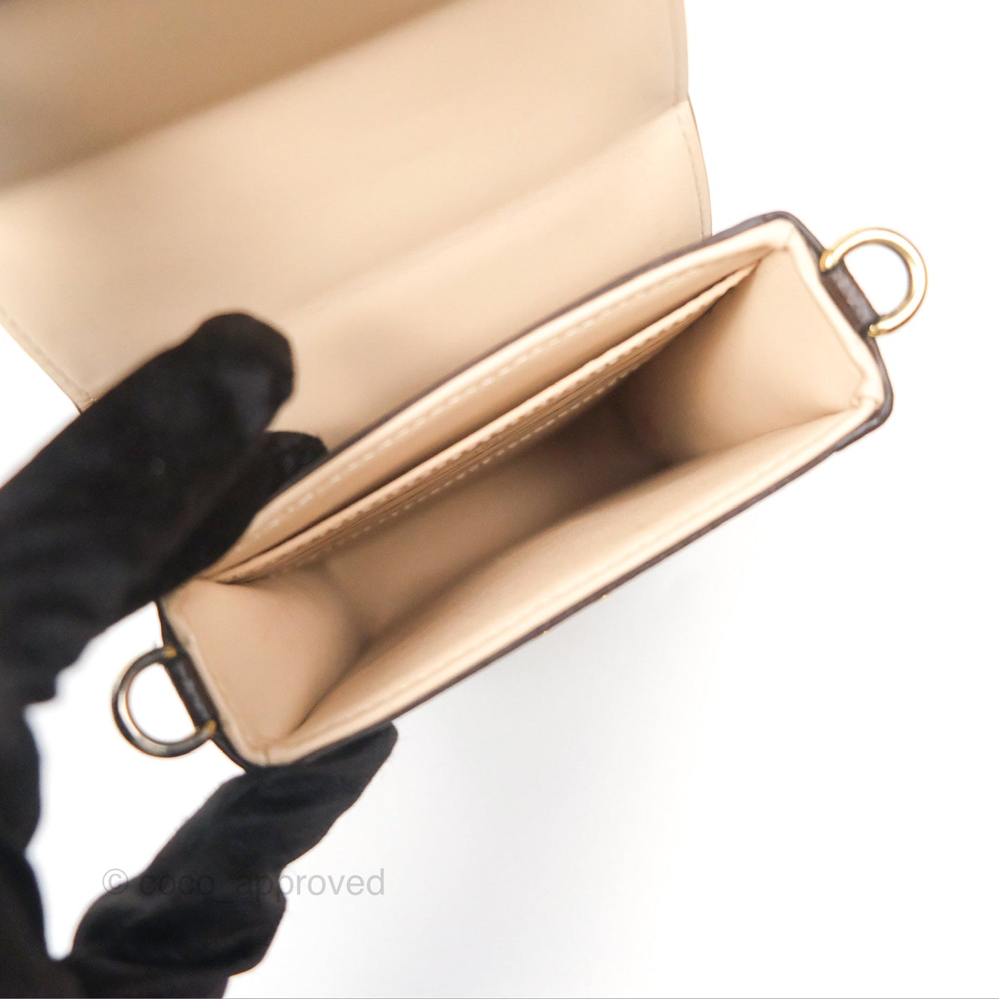 Louis Vuitton Reverse Monogram Pochette Vertical Trunk