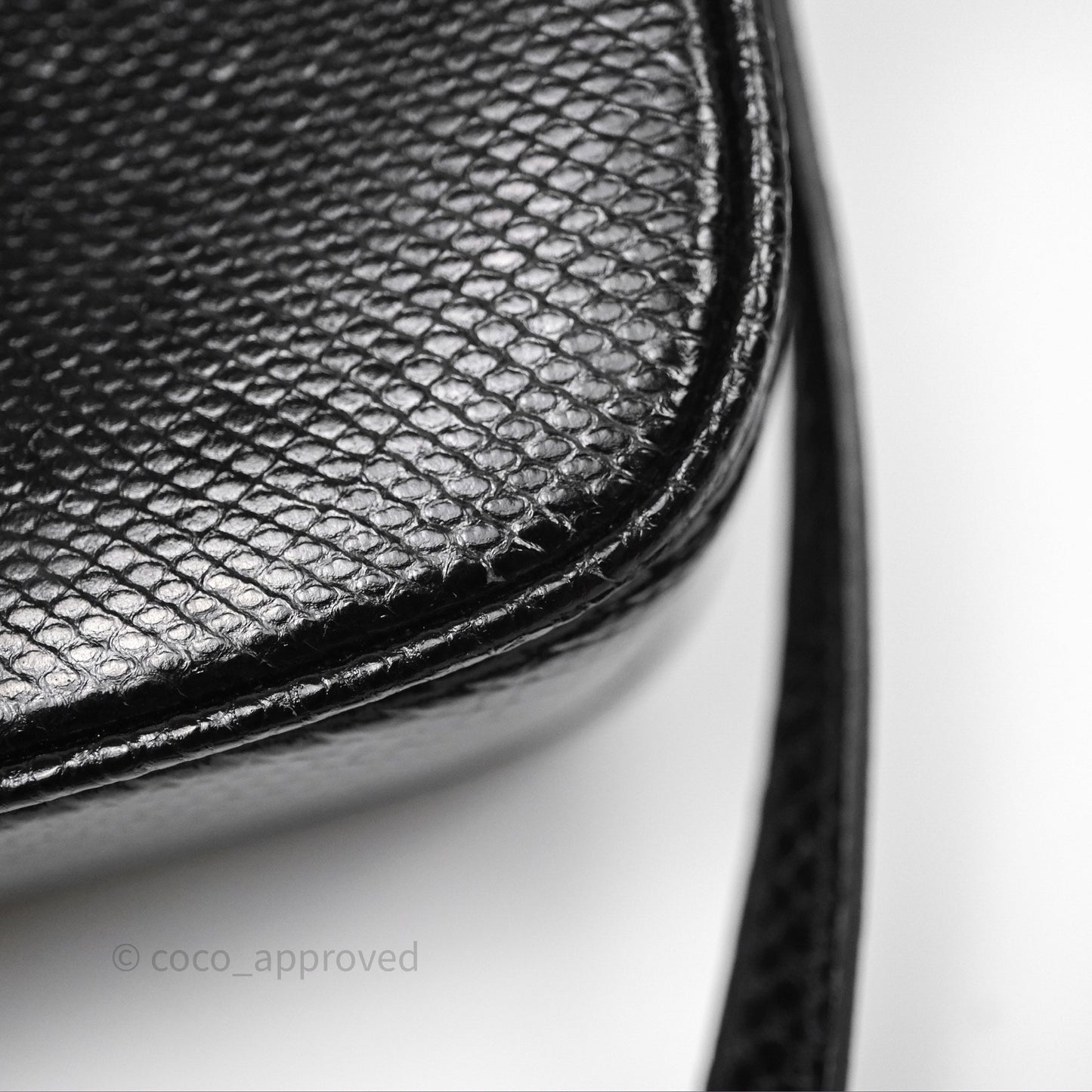 Celine Lizard Small Pampille C Bag Black Gold Hardware