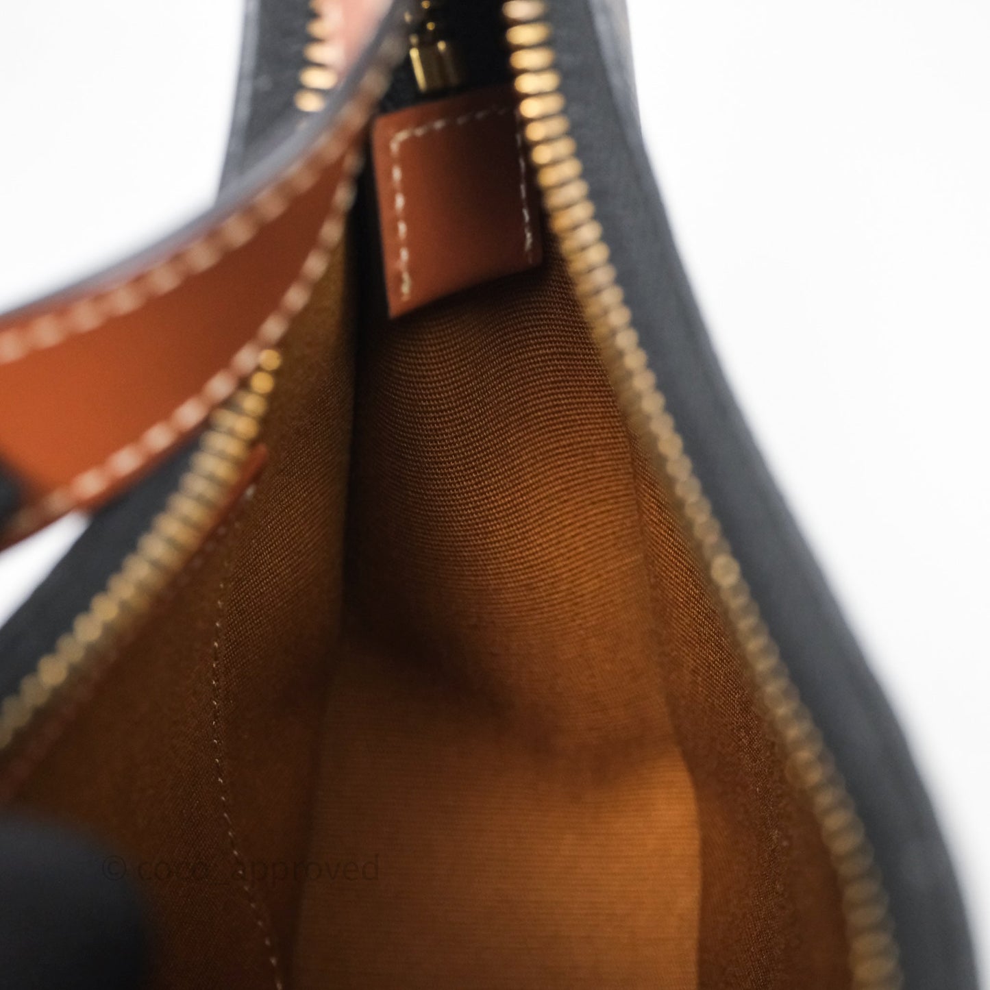 Celine Ava Bag In Triomphe Canvas Calfskin Tan