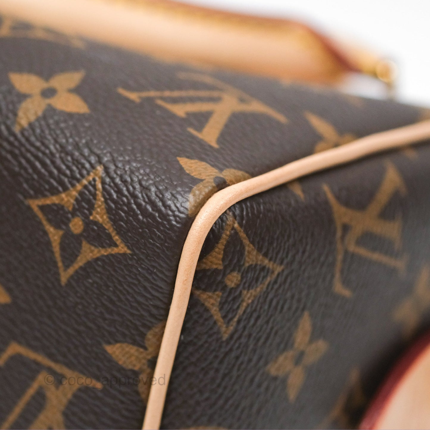 Louis Vuitton Speedy Bandoulière 20 Monogram