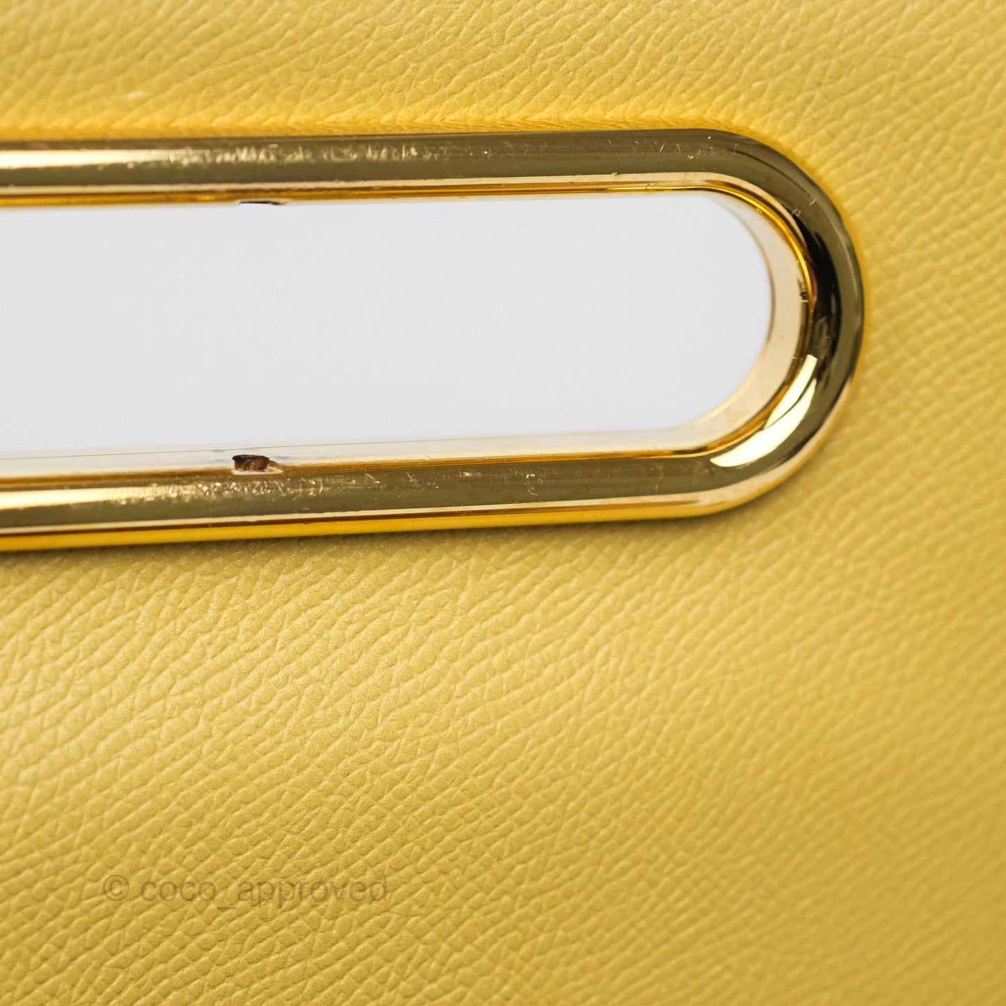 Delvaux Lingot Bag Pollen Alpina Calfskin