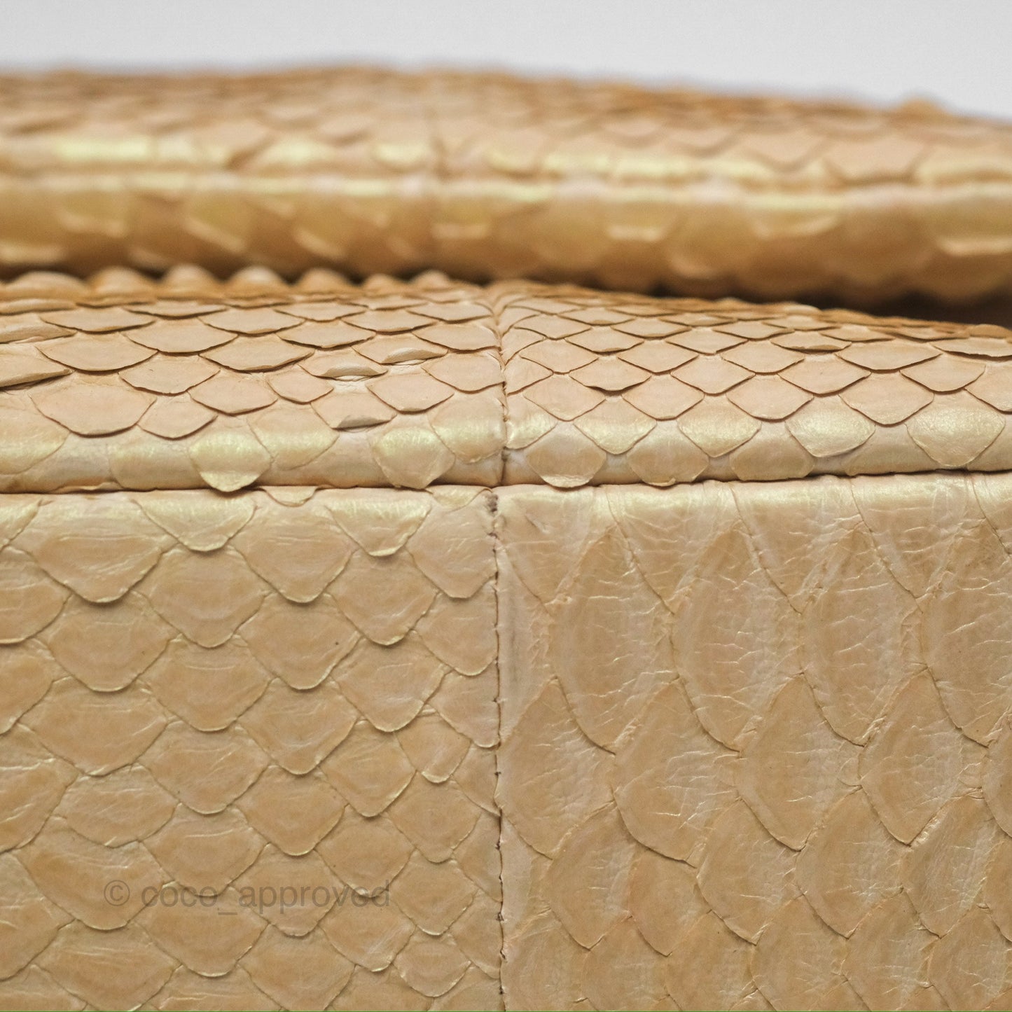 Chanel Jumbo Double Flap Iridescent Gold Python Gold Hardware⁣⁣