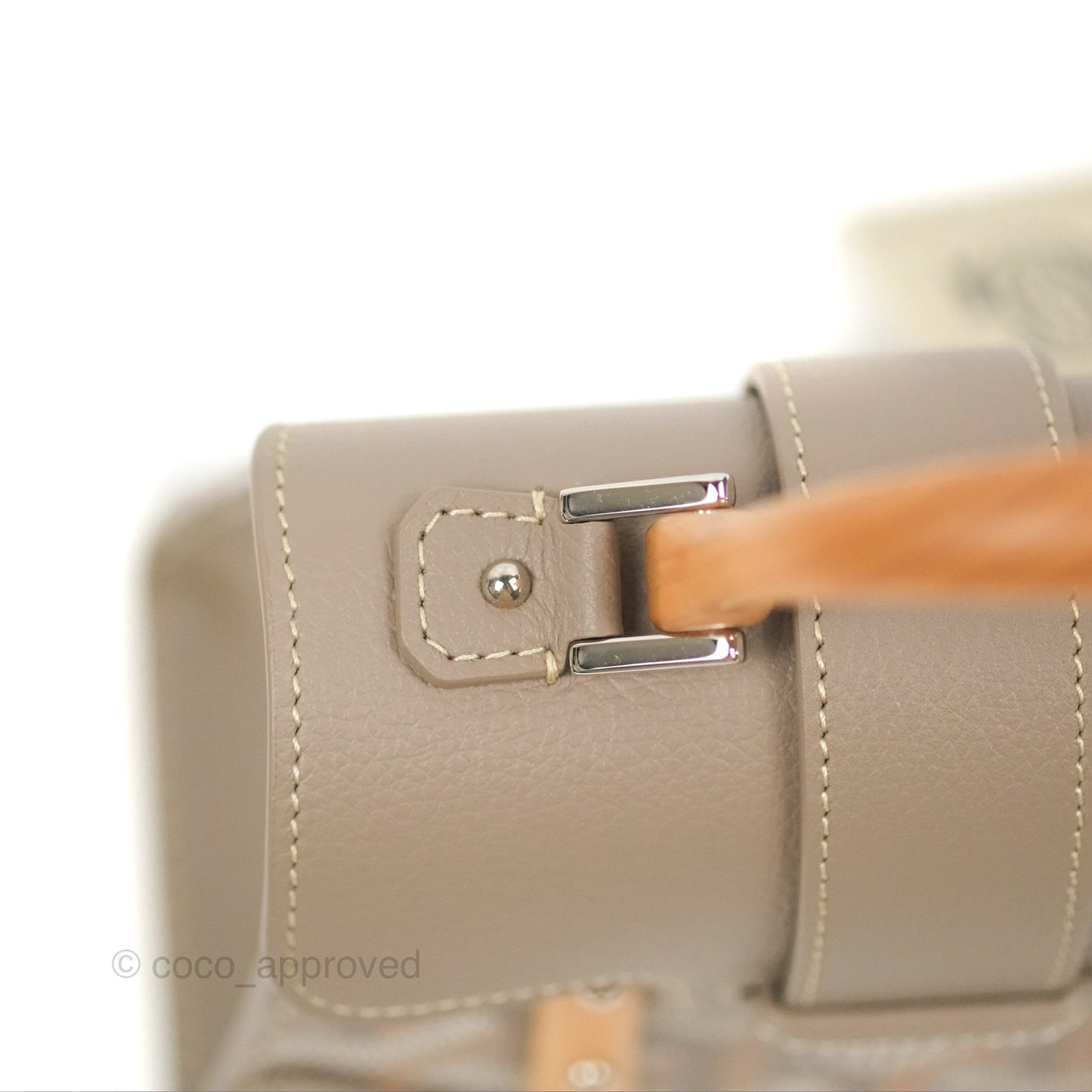 Goyard Saïgon Structuré Nano Bag Grege Silver Hardware