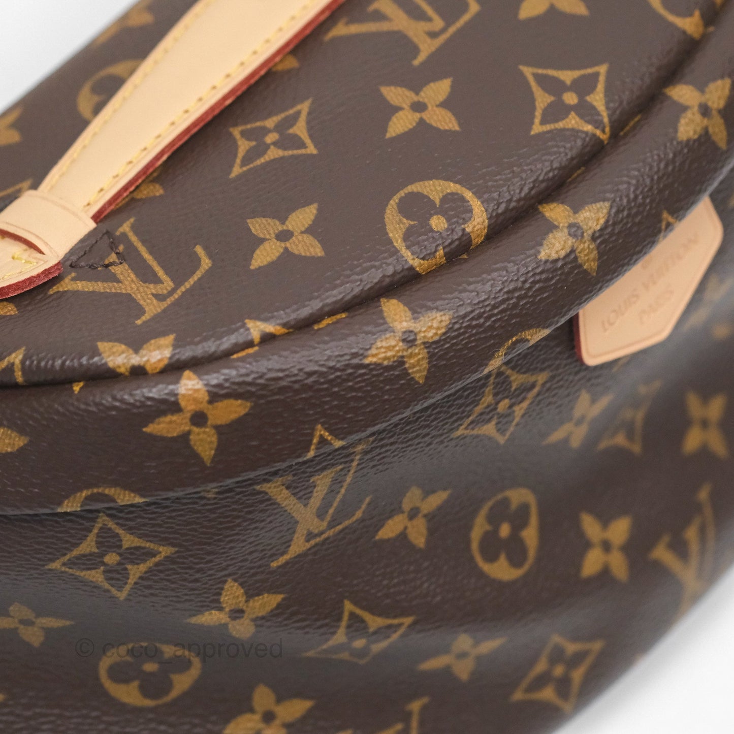 Louis Vuitton Bum Bag Monogram Canvas