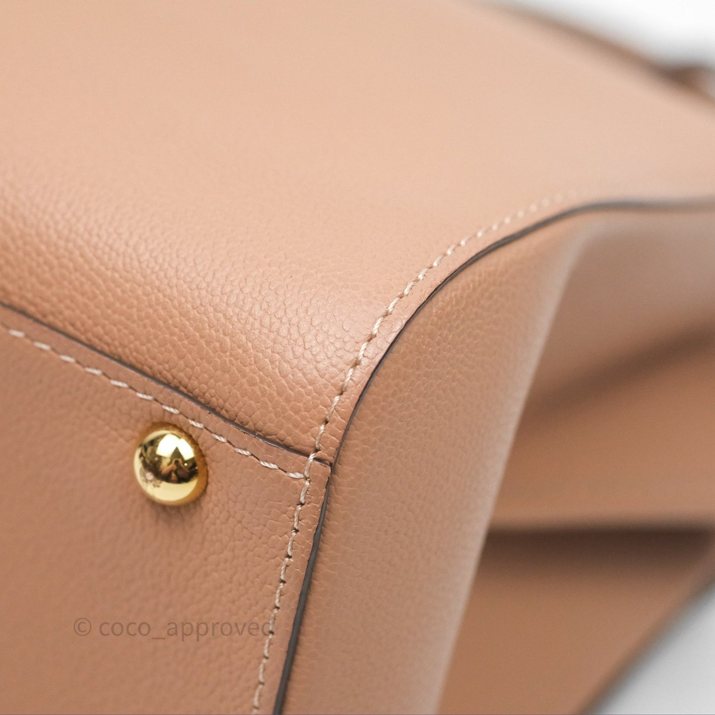 Delvaux Mini Brillant Bag Vison Grained Calfskin Gold Hardware with Twilly