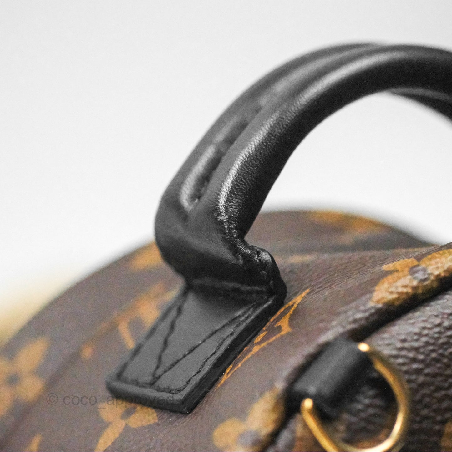 Louis Vuitton Mini Palm Springs Backpack⁣ Monogram Canvas