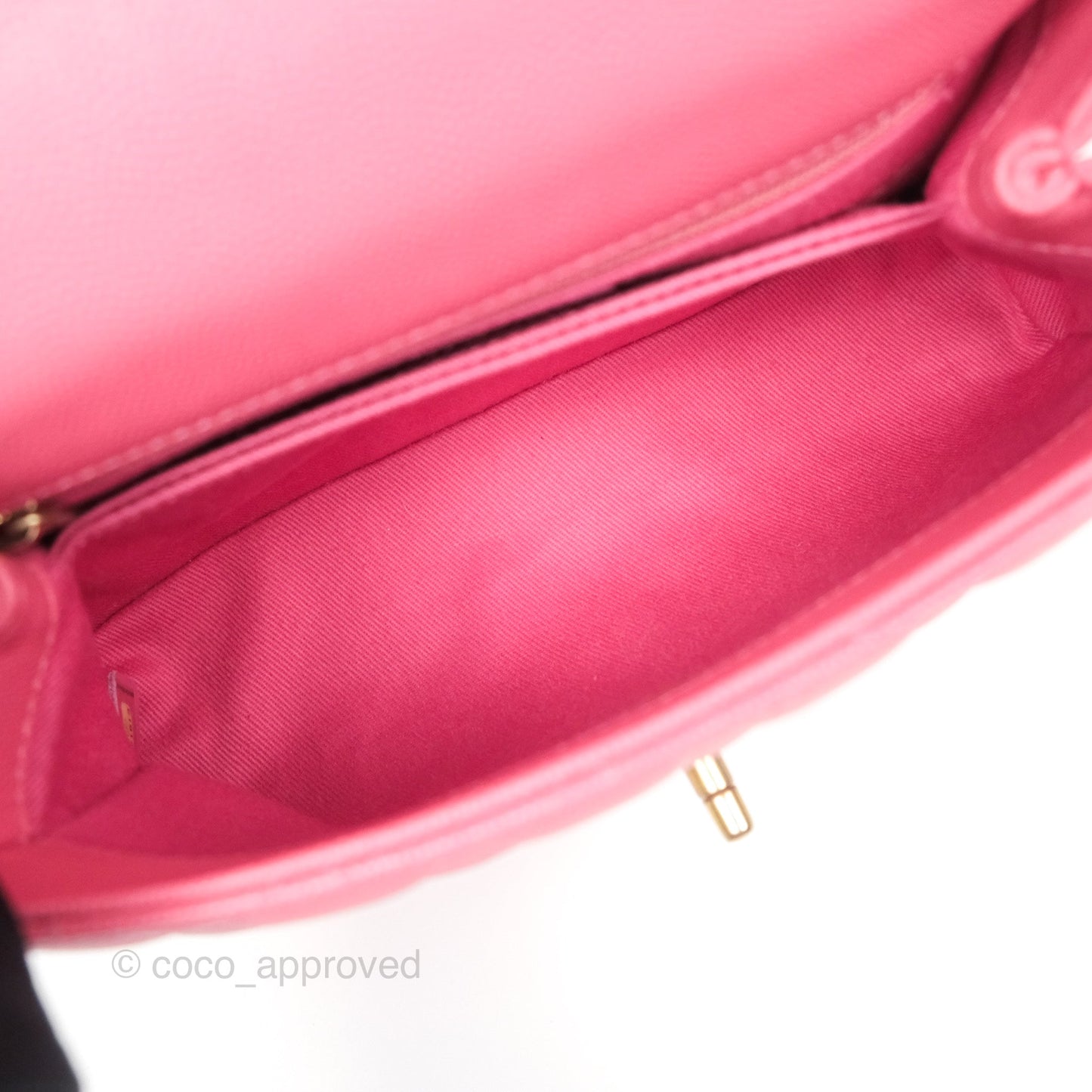 Chanel Small Coco Handle Quilted Pink Caviar Aged Gold Hardware Lizard Handle