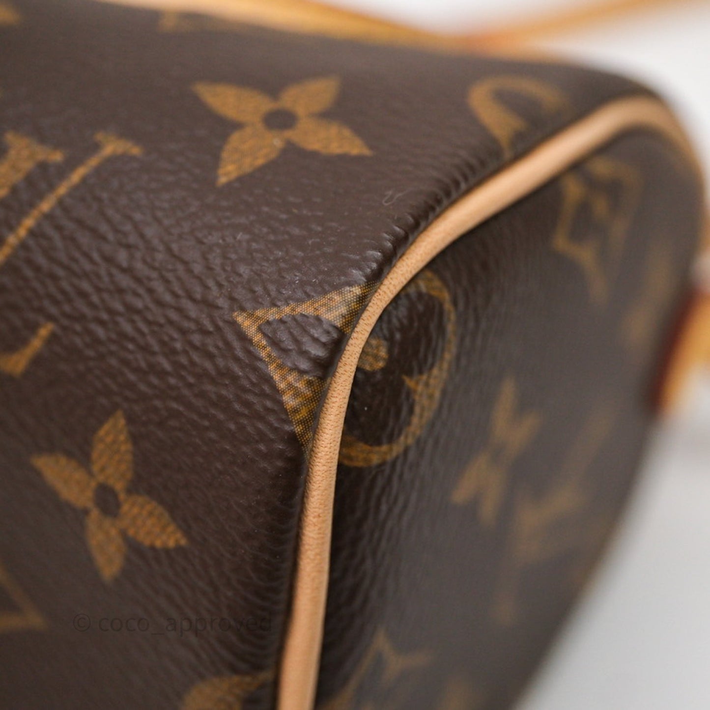Louis Vuitton Nano Speedy Monogram Canvas