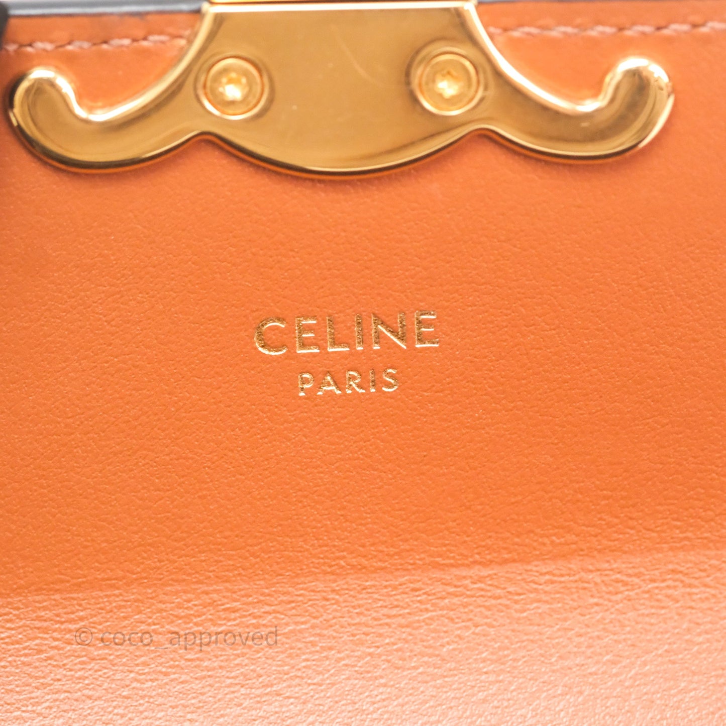 Celine Tan Canvas Calfskin Mini Triomphe