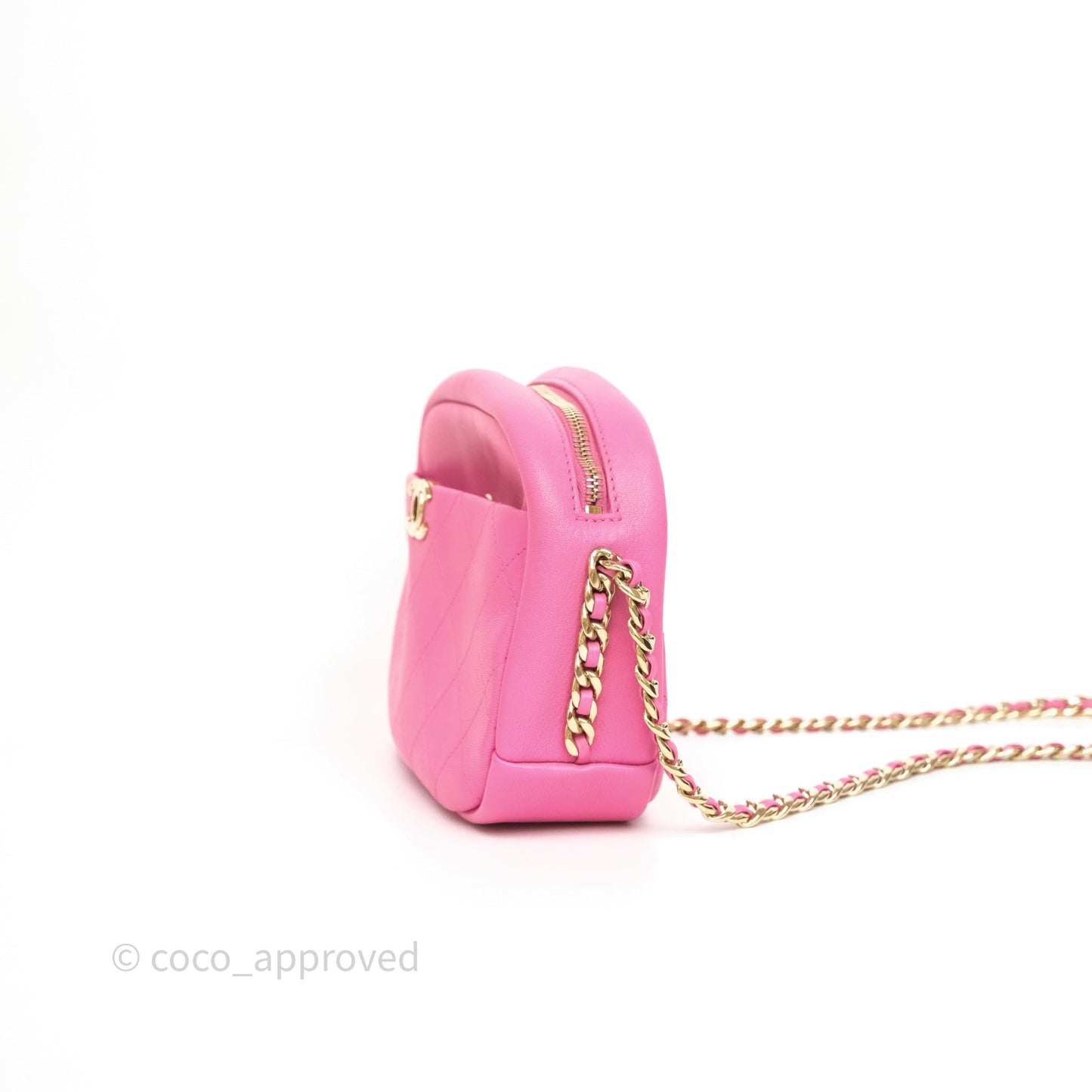 Chanel Camera Bag Pink Calfskin Aged Gold Hardware