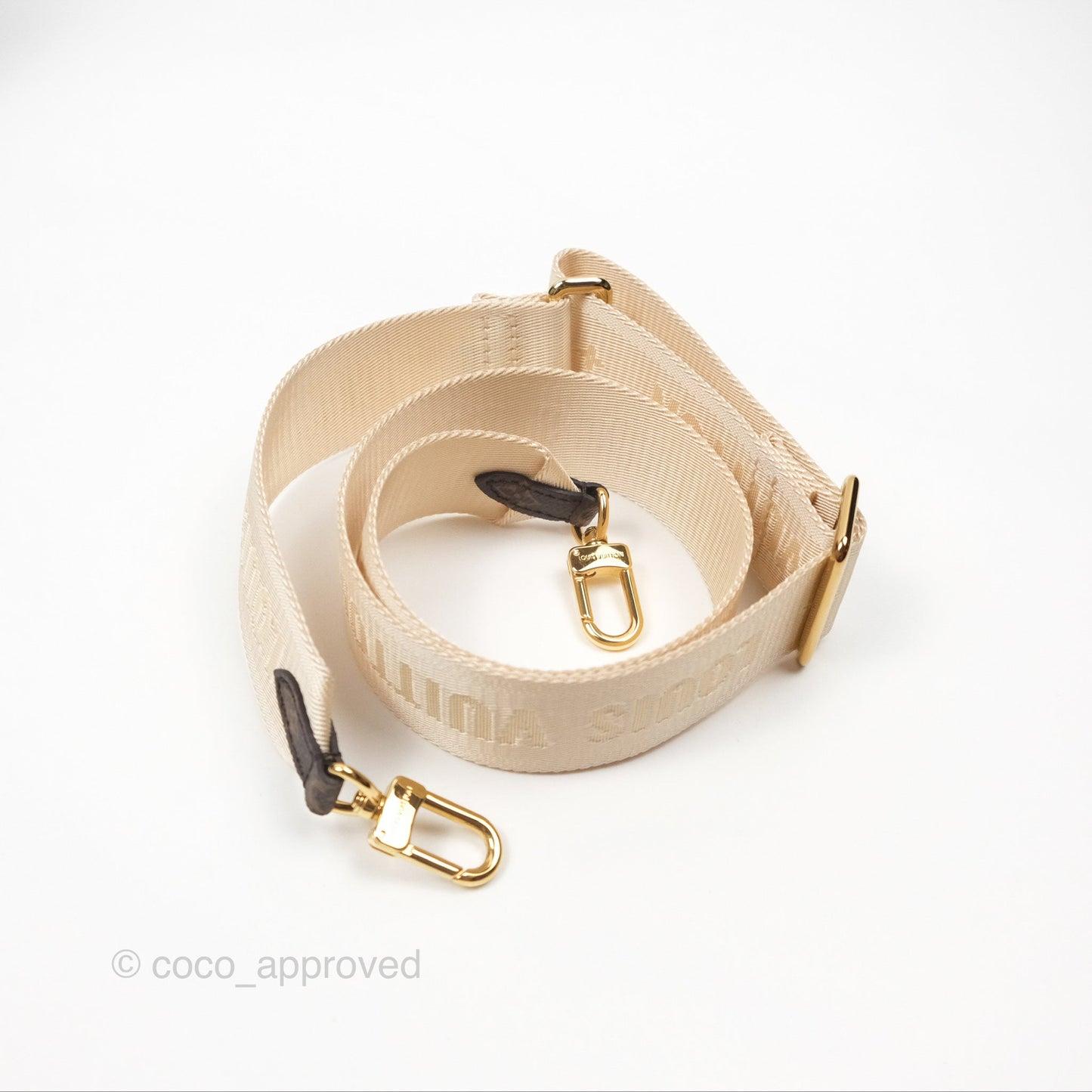 Louis Vuitton OnTheGo PM in Monogram Reverse Canvas