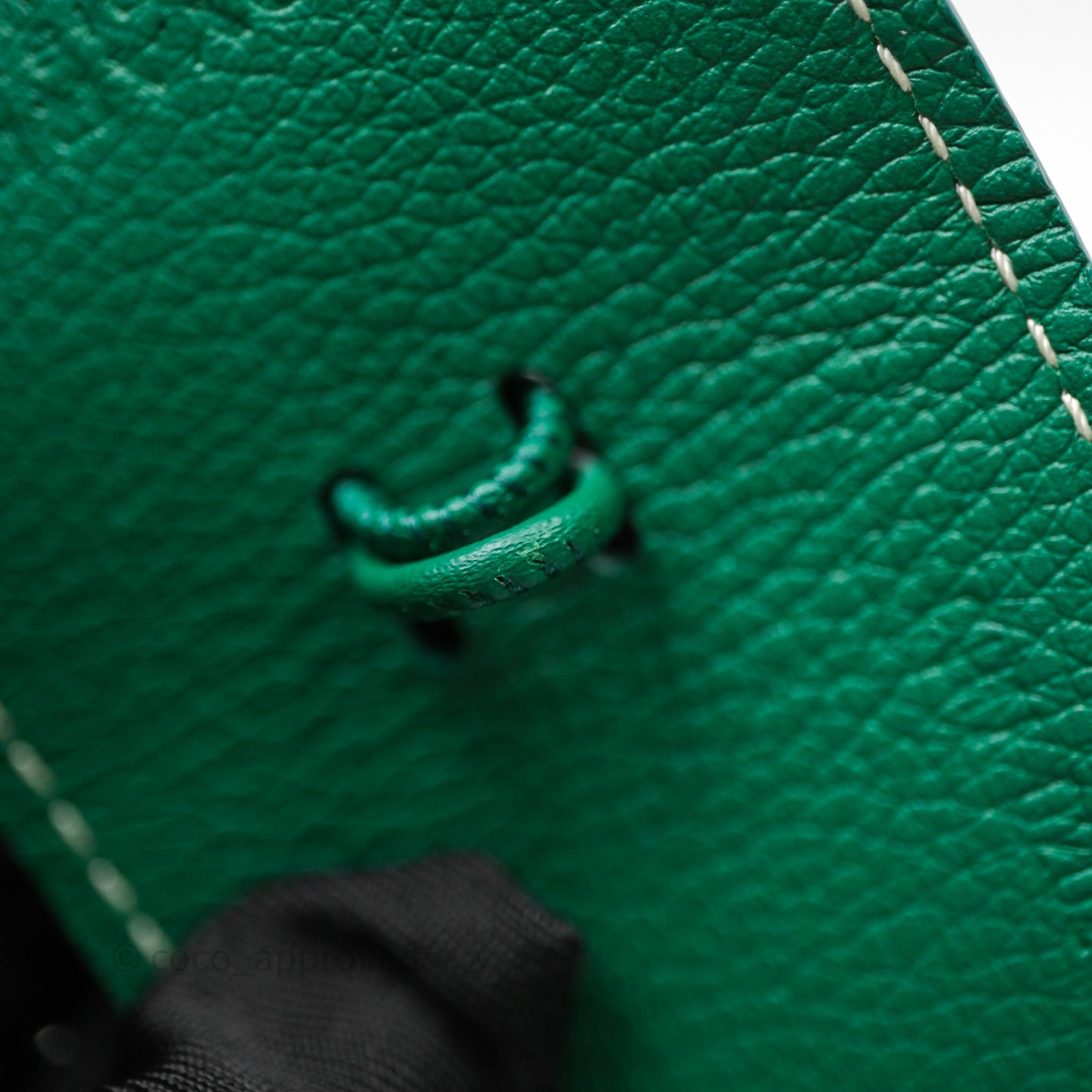 Goyard Croc Universel Clip Green