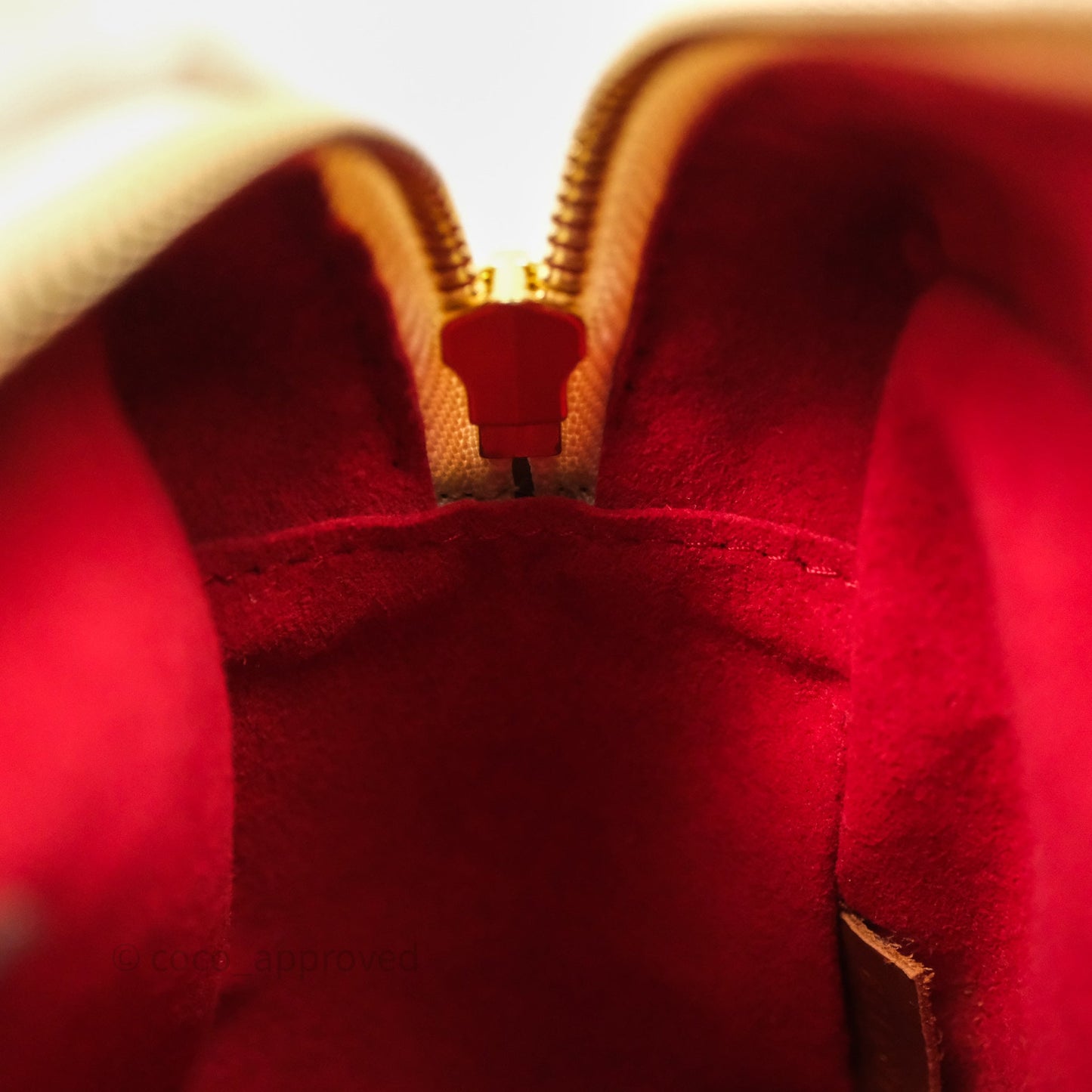 Louis Vuitton Teddy Beach Pouch Monogram