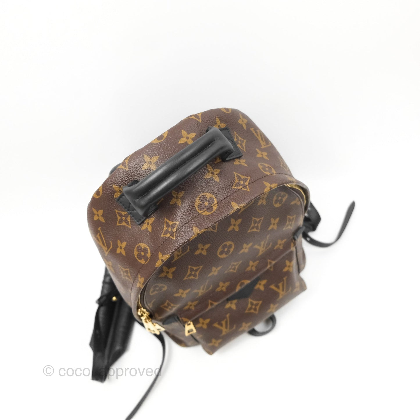 Louis Vuitton Palm Springs Backpack⁣ Monogram PM