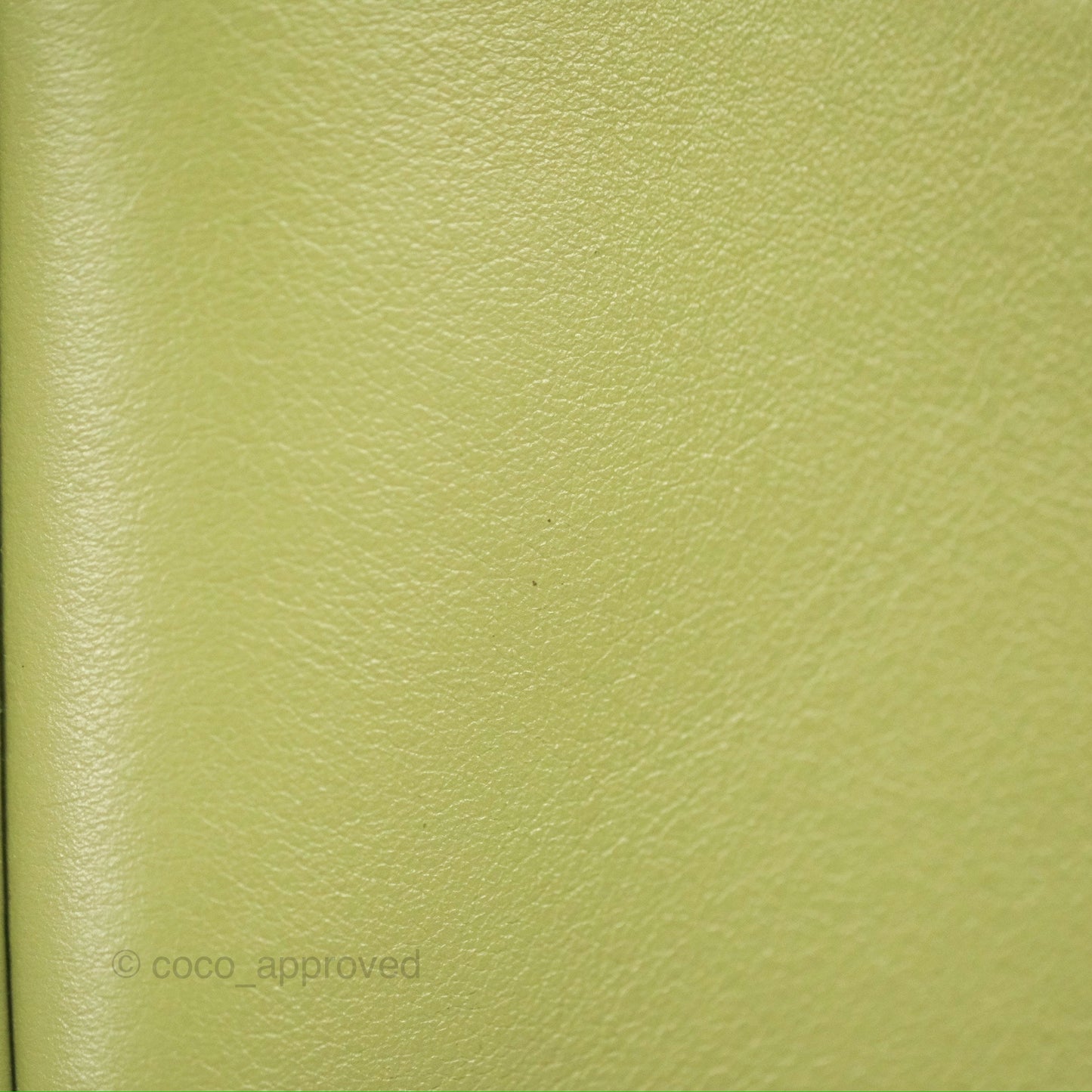 Celine Ava Bag Avocado Green Calfskin