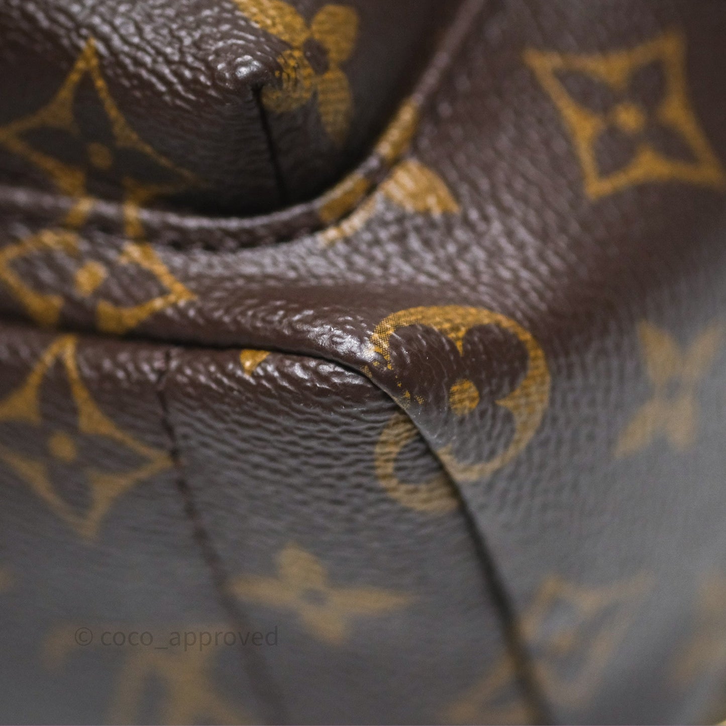 Louis Vuitton Monogram Mini Palm Springs Backpack⁣