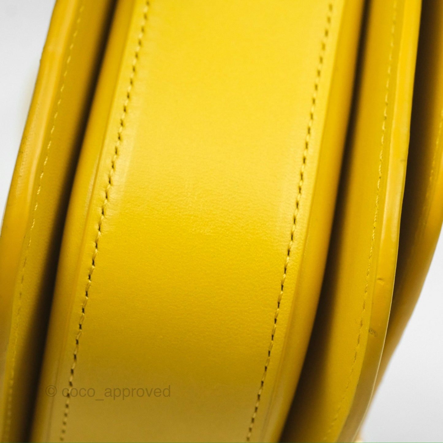 Loewe Small Goya Bag Yellow Silk Calfskin
