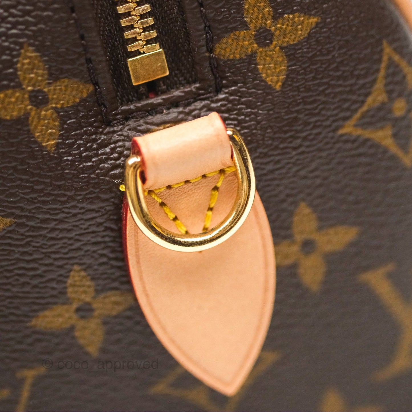 Louis Vuitton Speedy Bandoulière 20 Monogram