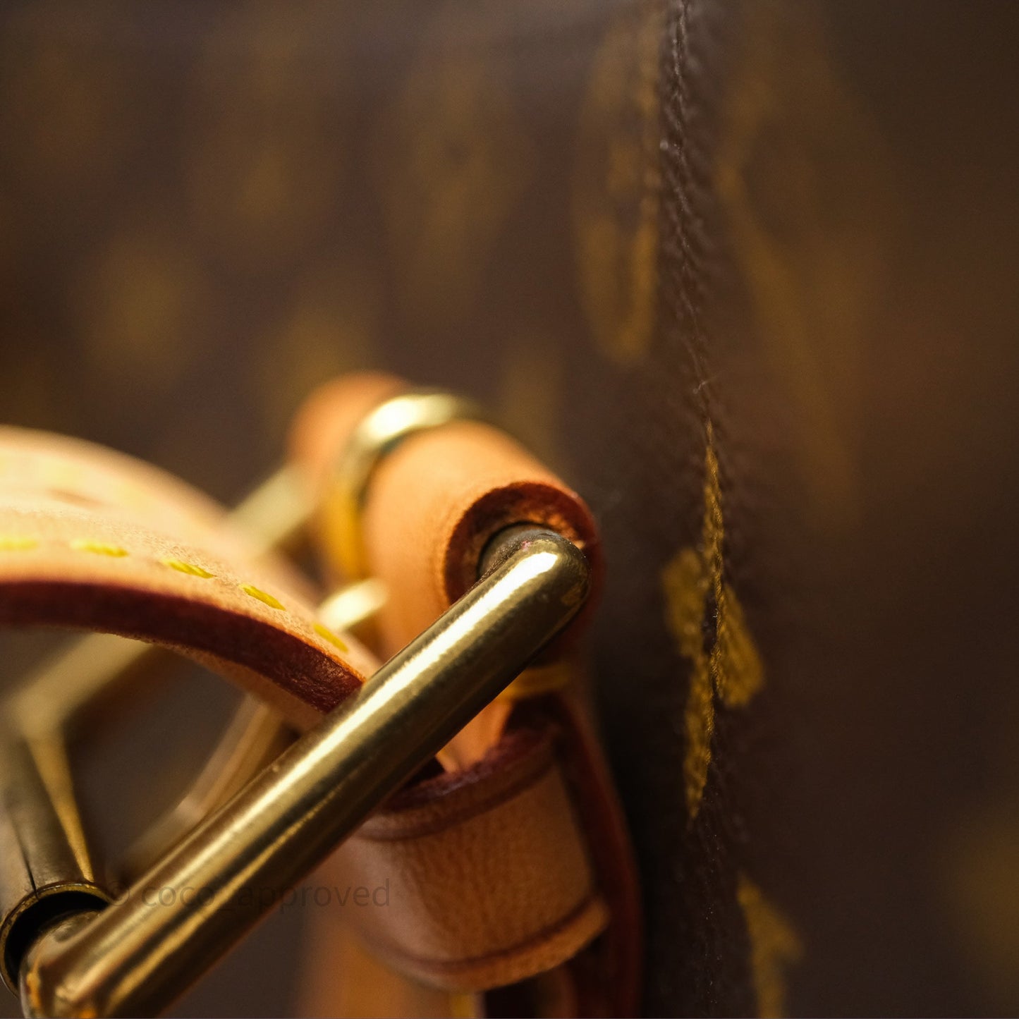 Louis Vuitton Multipli-Cite Tote Monogram Canvas
