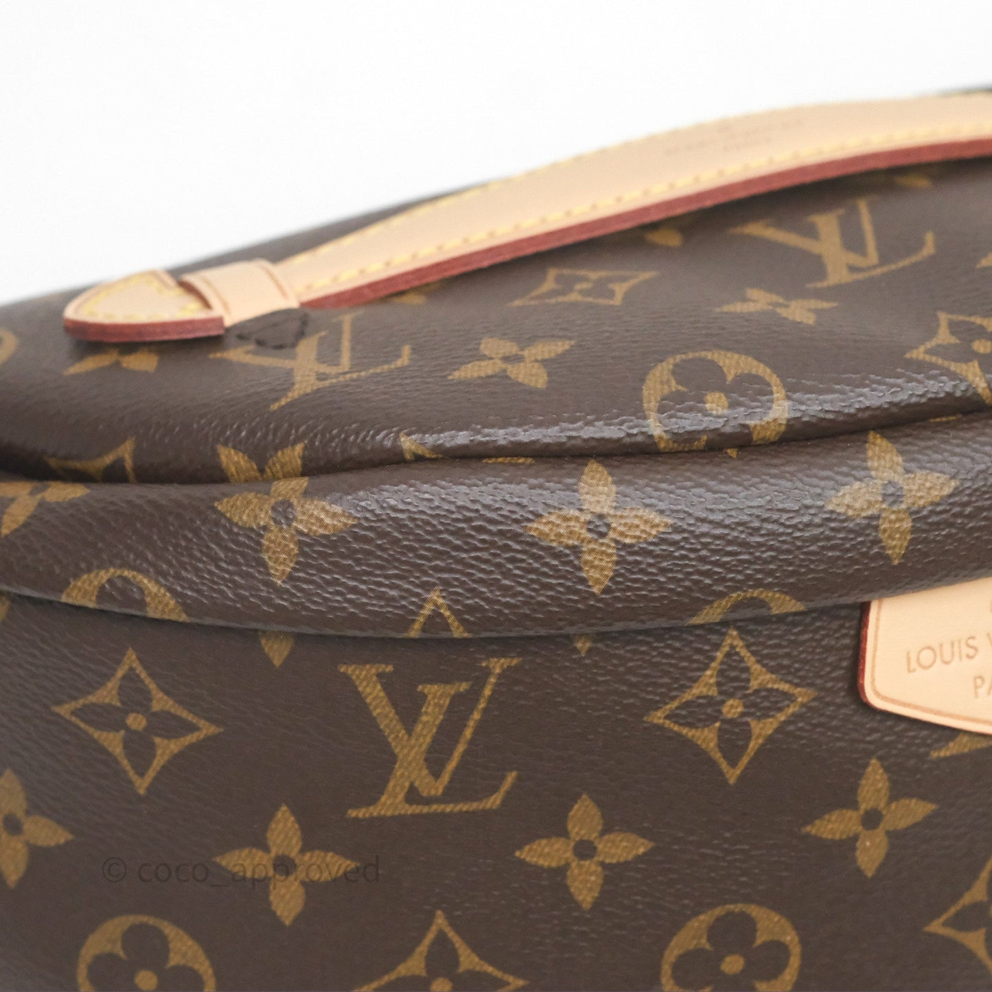 Louis Vuitton Bum Bag Monogram Canvas